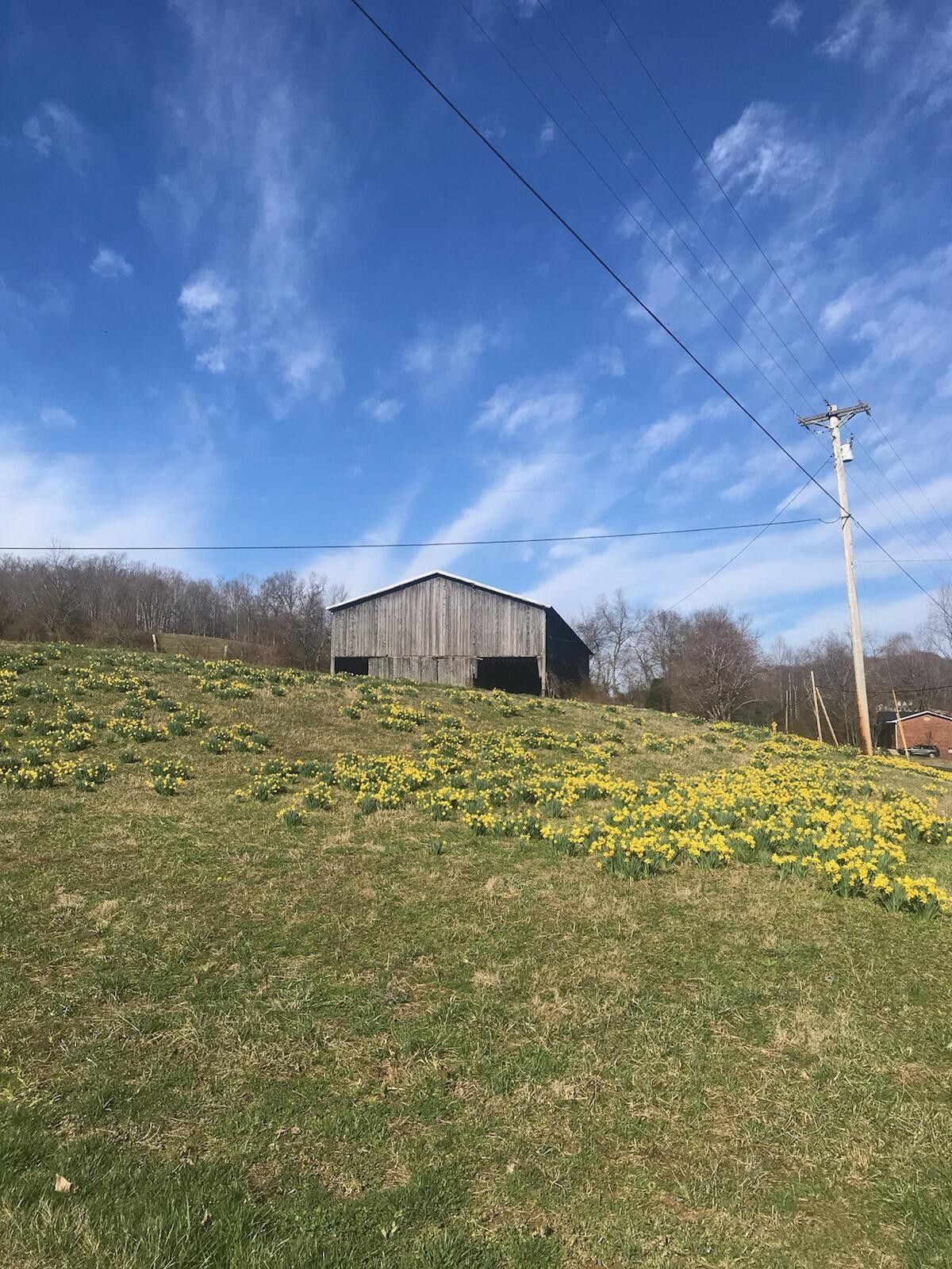 Manchester, Clay County, KY Farms and Ranches for sale Property ID