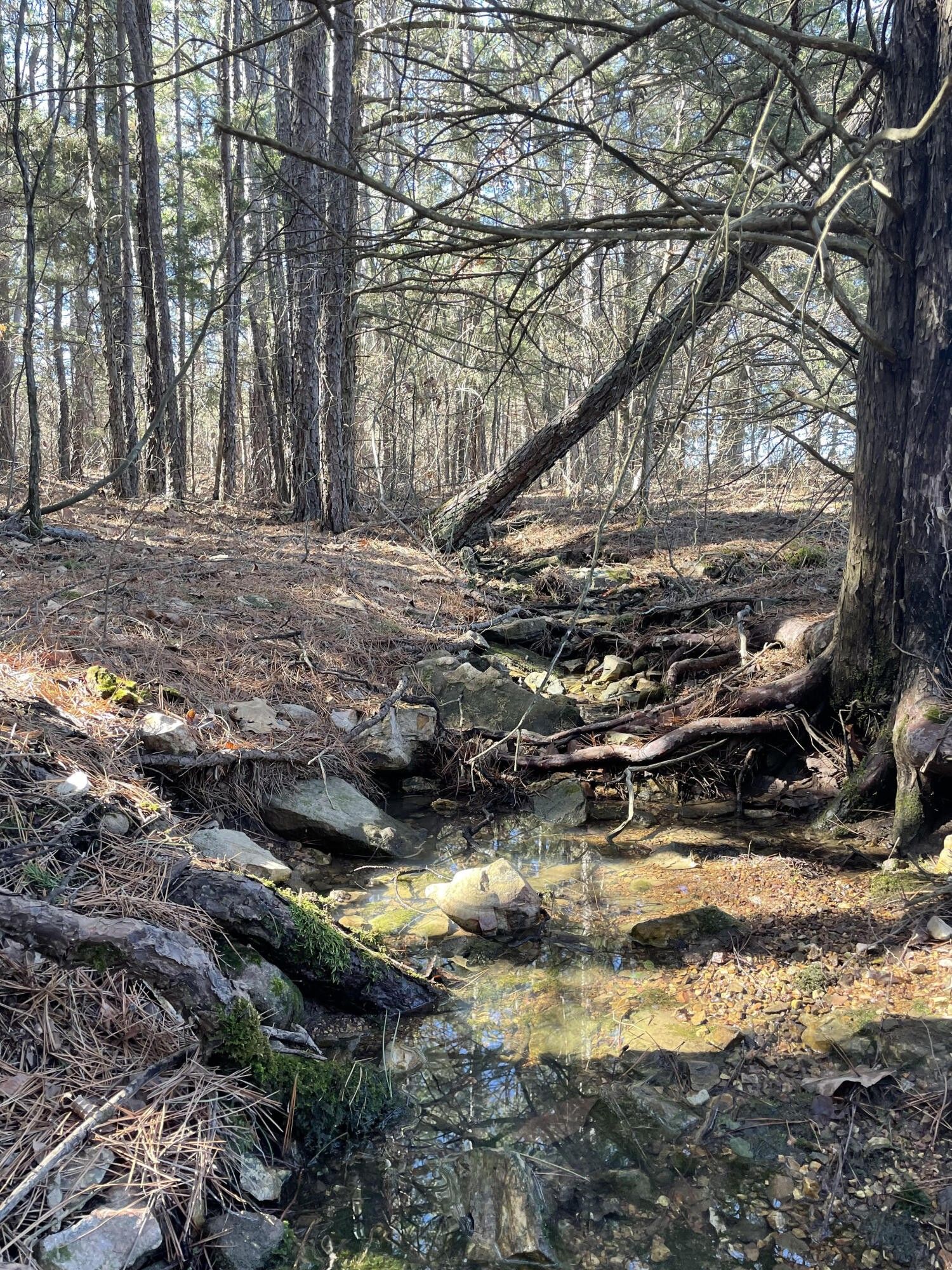 Houston, Texas County, MO Undeveloped Land, Lakefront Property