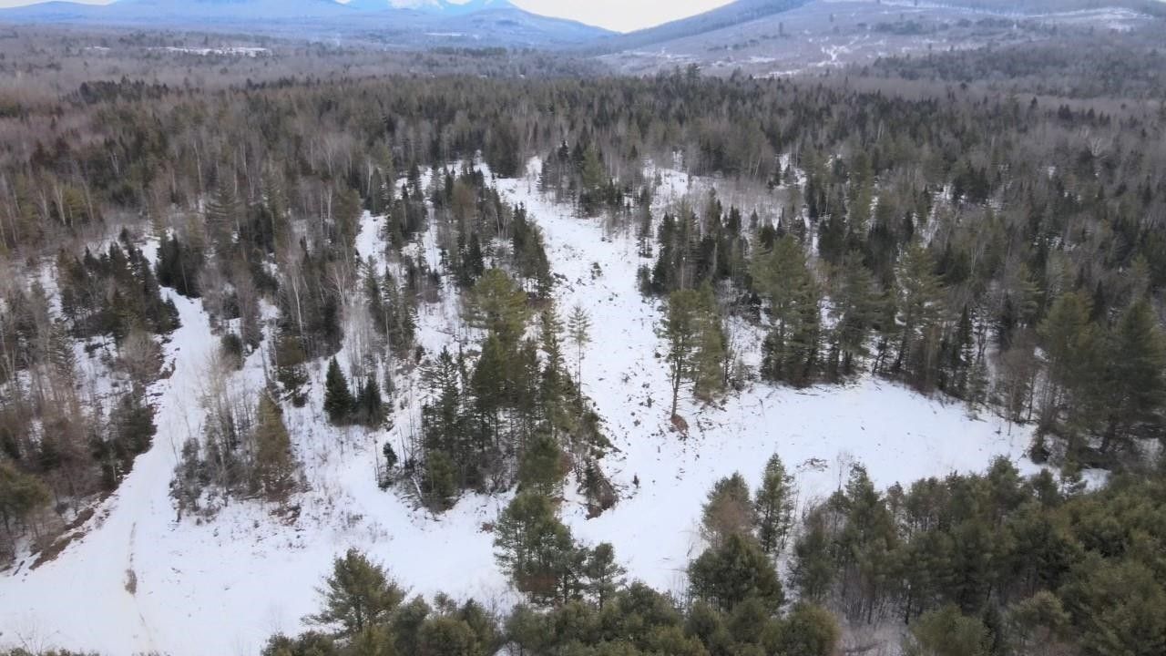 540 Bog Road, Stratford, NH 03590 MLS 4944299 LandWatch