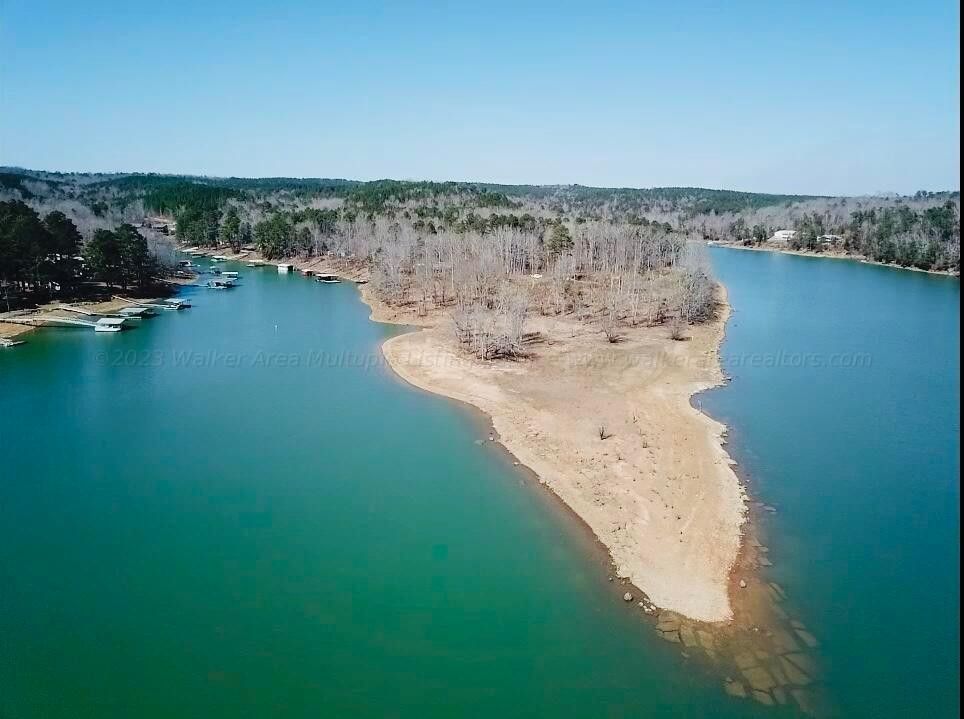 Houston, Winston County, AL Undeveloped Land, Lakefront Property