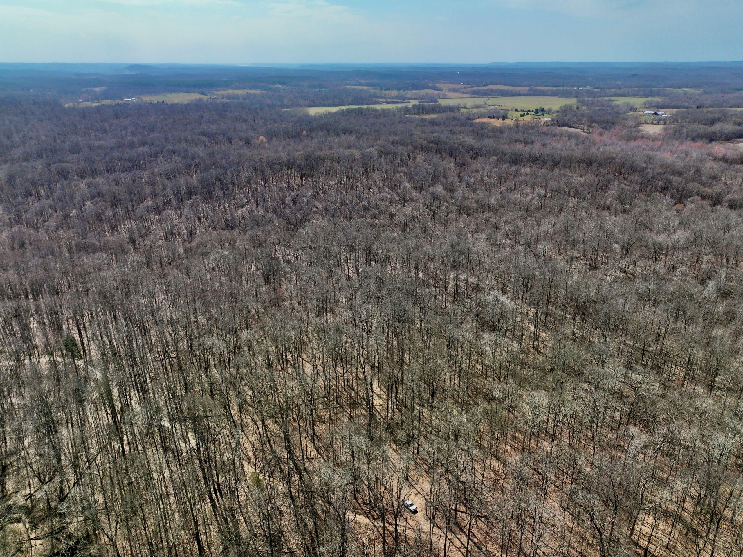 Elizabethtown, Hardin County, IL Recreational Property, Timberland