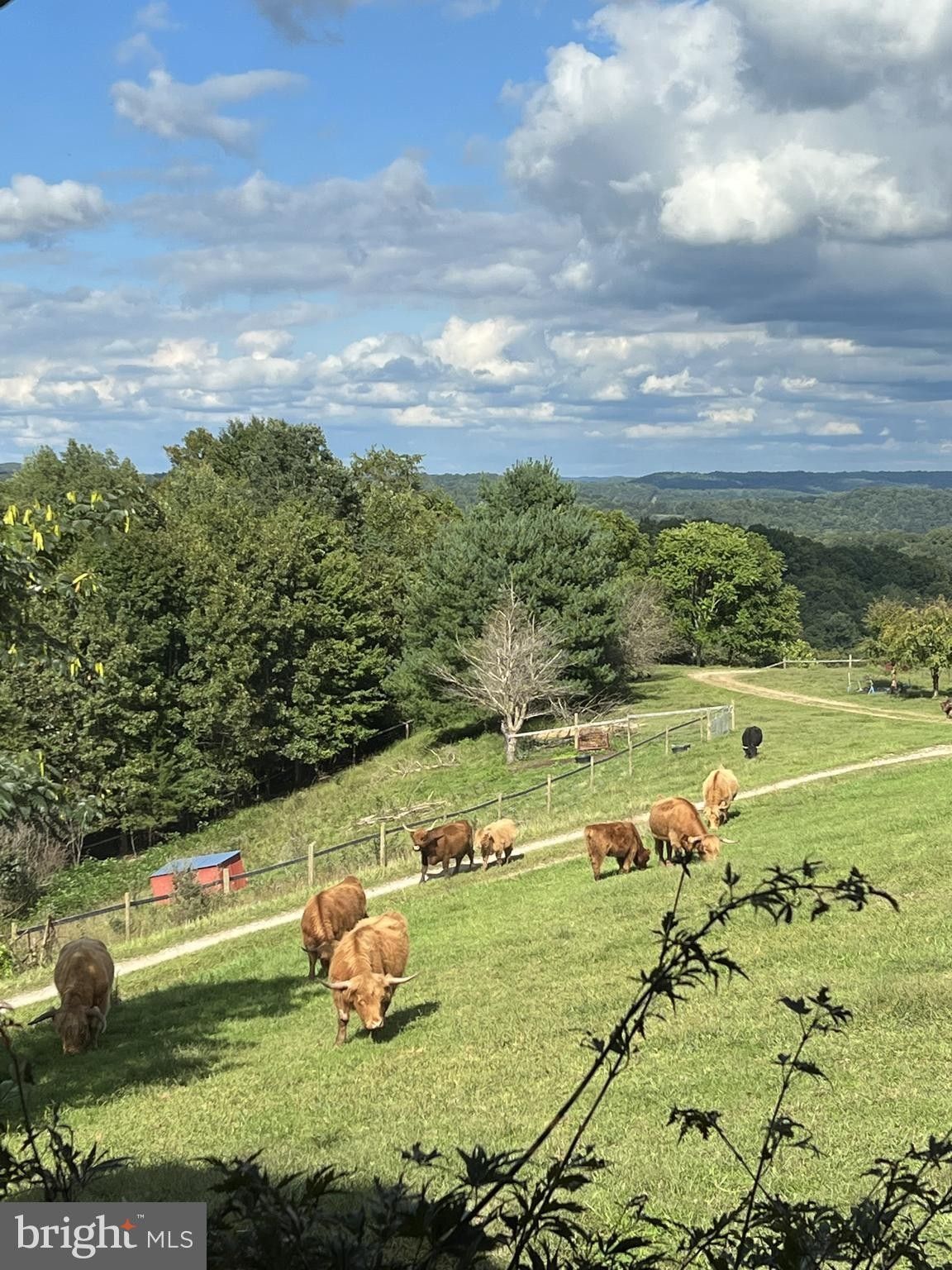 Cairo, Ritchie County, WV Farms and Ranches, House for sale Property ID