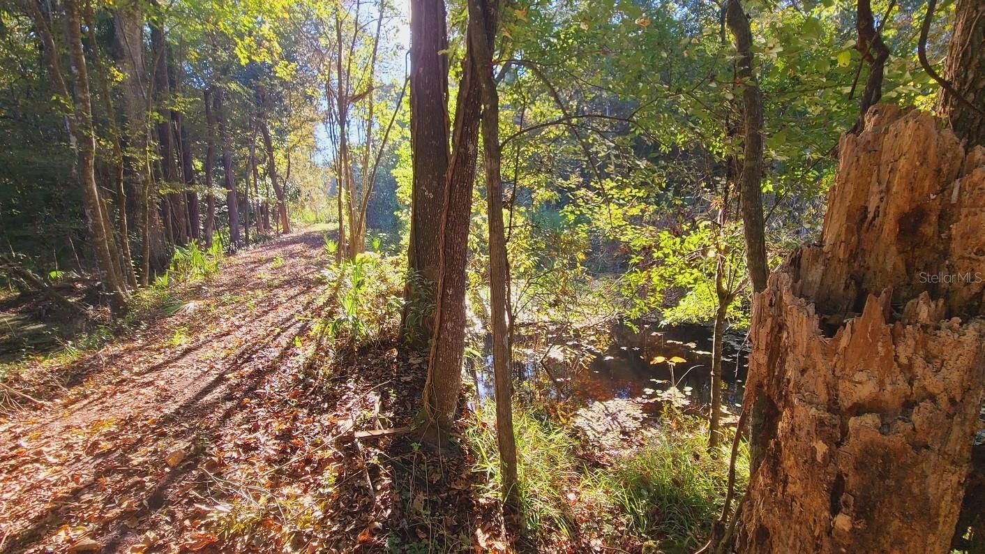 Bushnell, Sumter County, FL Farms and Ranches for sale Property ID