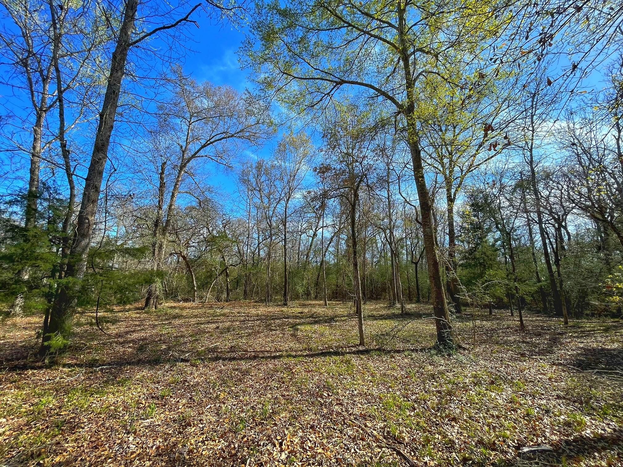 Centerville, Leon County, TX Recreational Property, Hunting Property