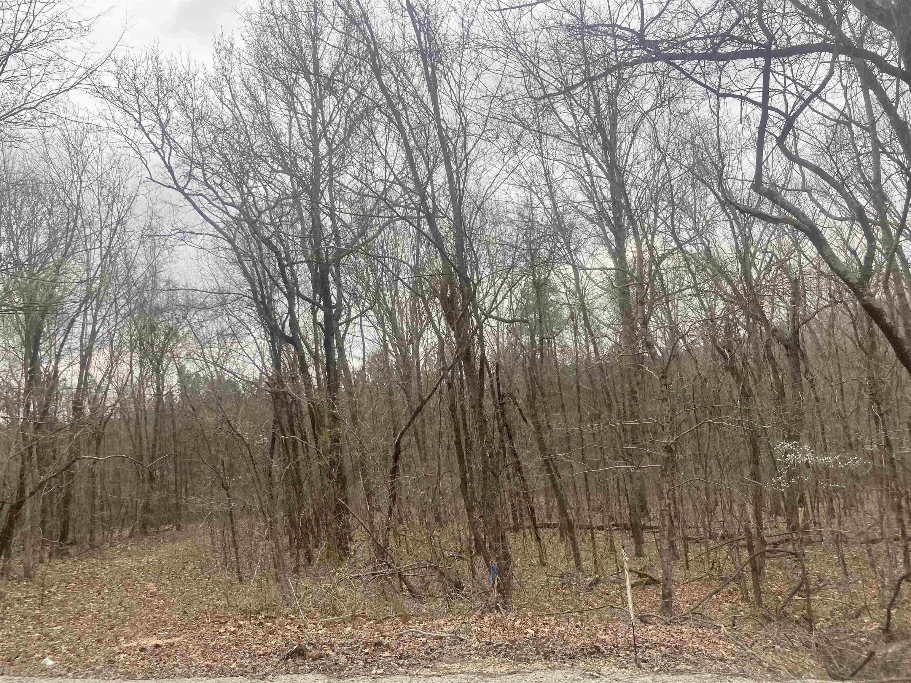 Russellville, Franklin County, AL Undeveloped Land for sale Property ID 415909444 LandWatch