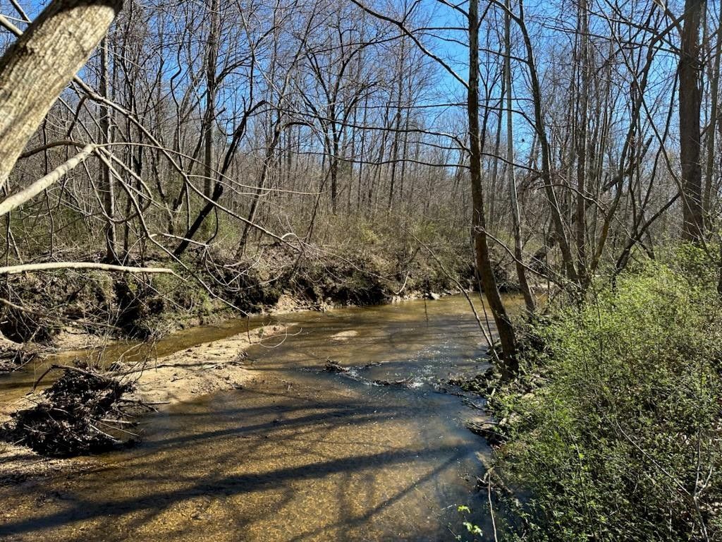 Pamplin, Appomattox County, VA Undeveloped Land, Lakefront Property