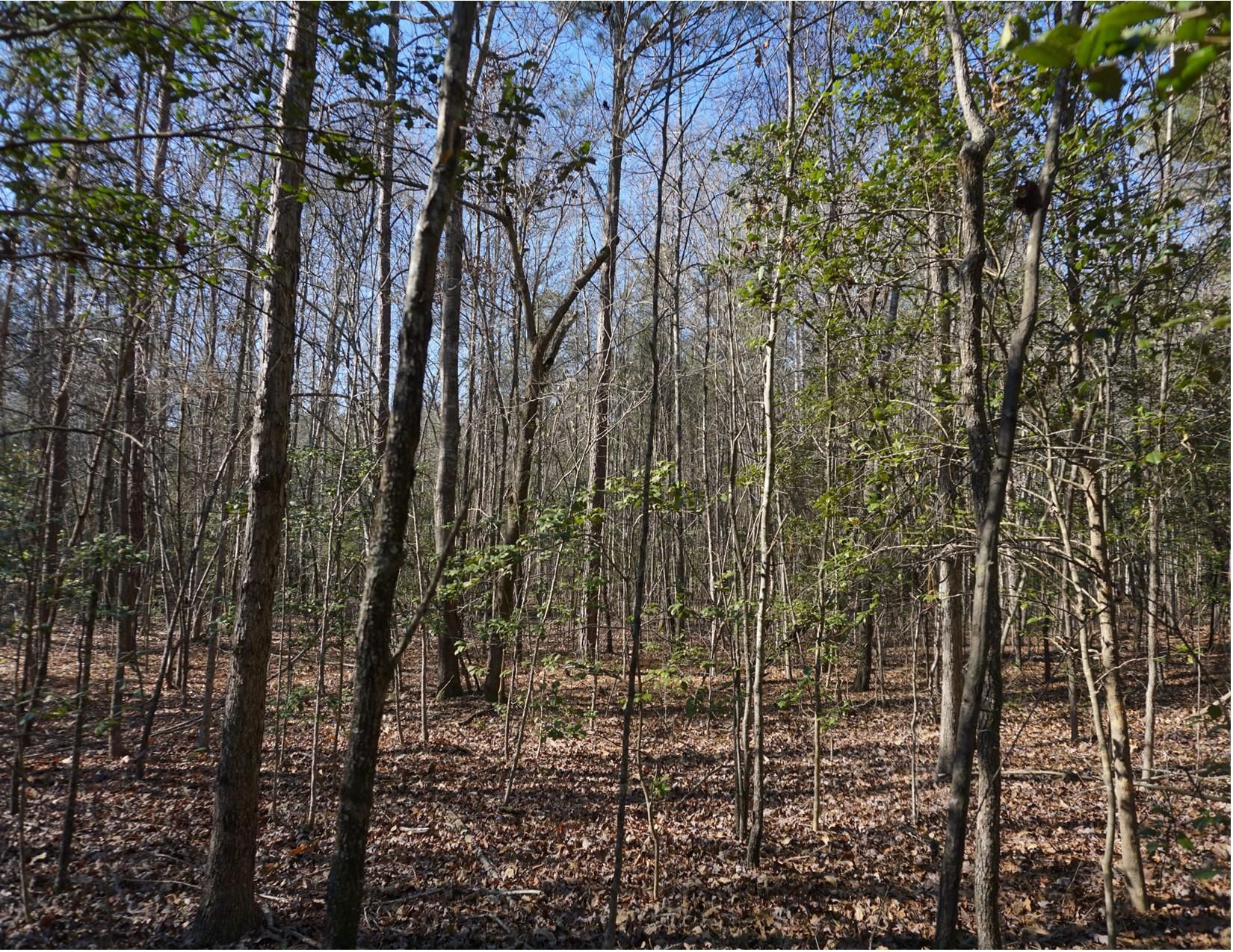 Edgemoor, Chester County, SC Recreational Property, Hunting Property for sale Property ID