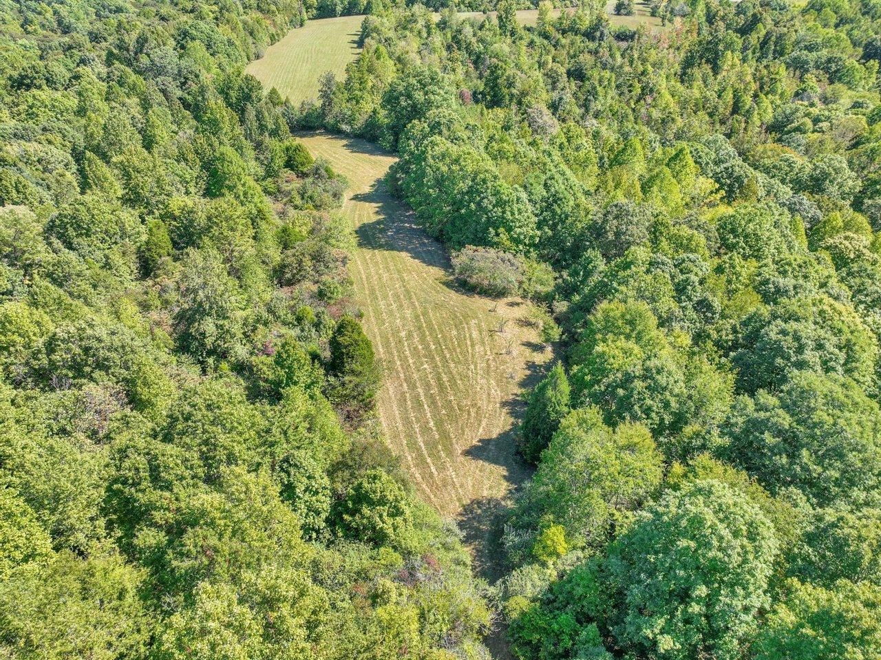 Ashland City, Cheatham County, TN Recreational Property, Hunting