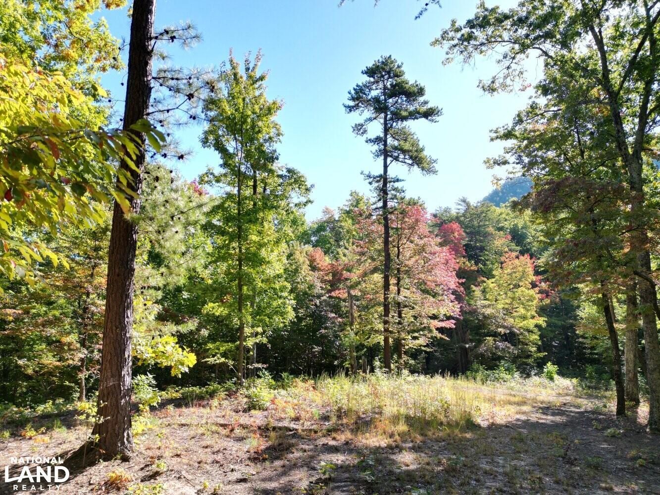 Newport, Cocke County, TN Recreational Property, Timberland Property