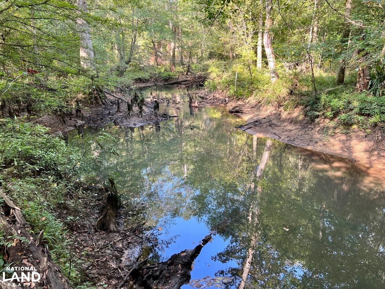 0 County Road 11, Repton, AL 36475 LandWatch