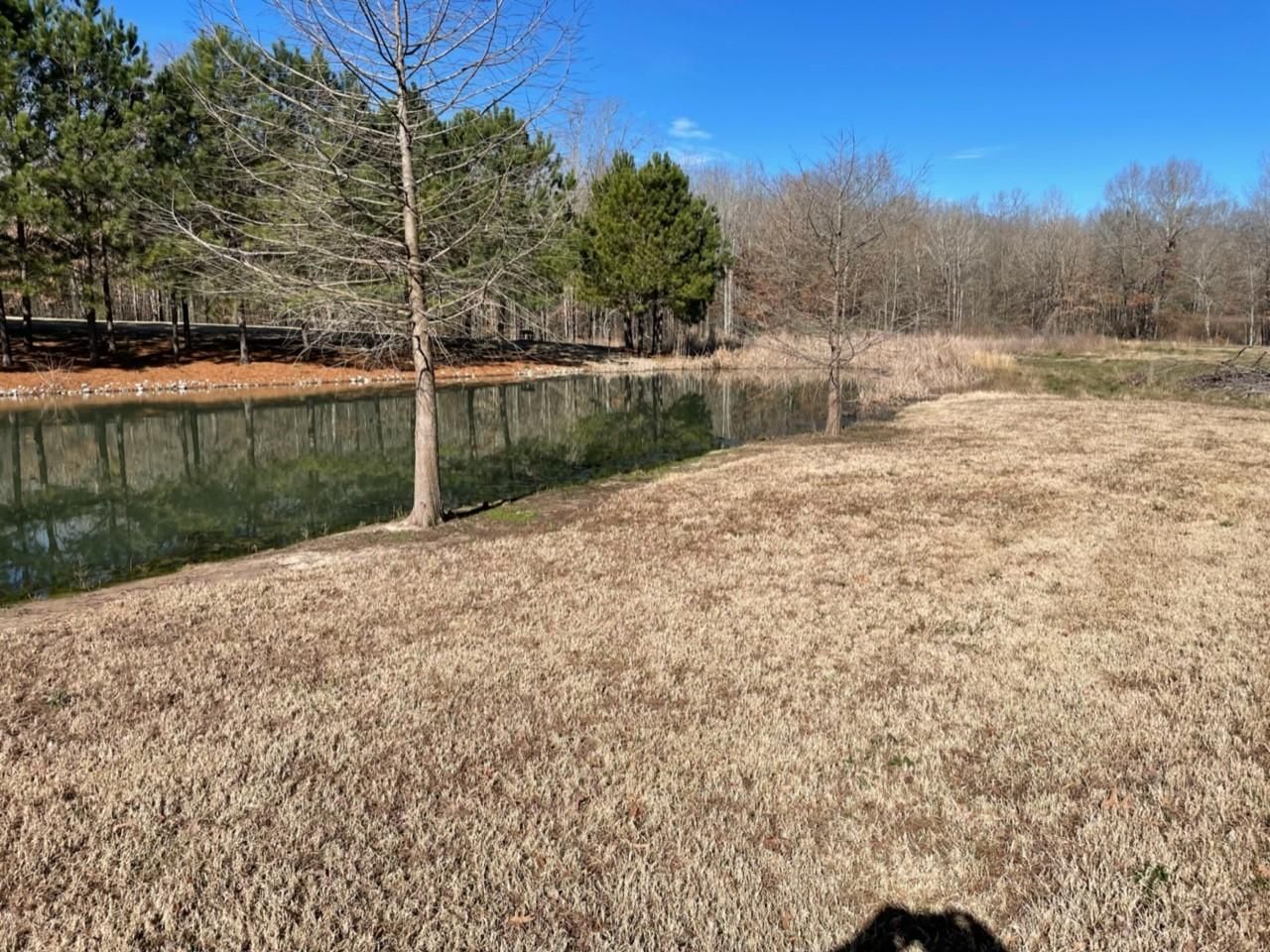 5.15 acres in Lydia, TX, 75554 LandWatch