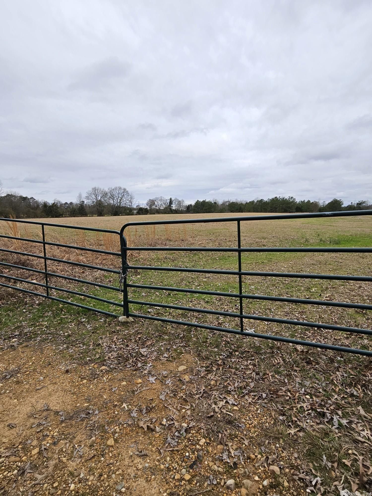 Blevins, Hempstead County, AR Undeveloped Land for sale Property ID