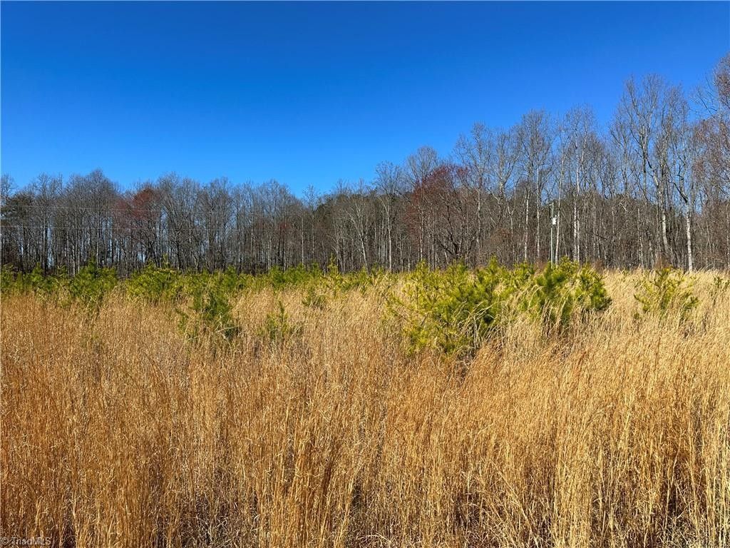 Pilot Mountain, Surry County, NC House for sale Property ID 415914922