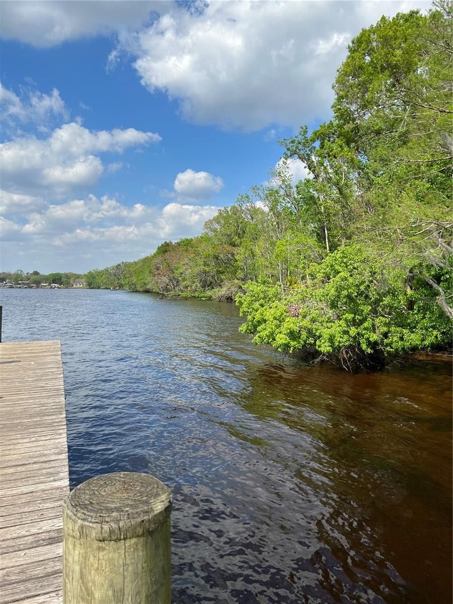Palatka, Putnam County, FL Undeveloped Land, Lakefront Property