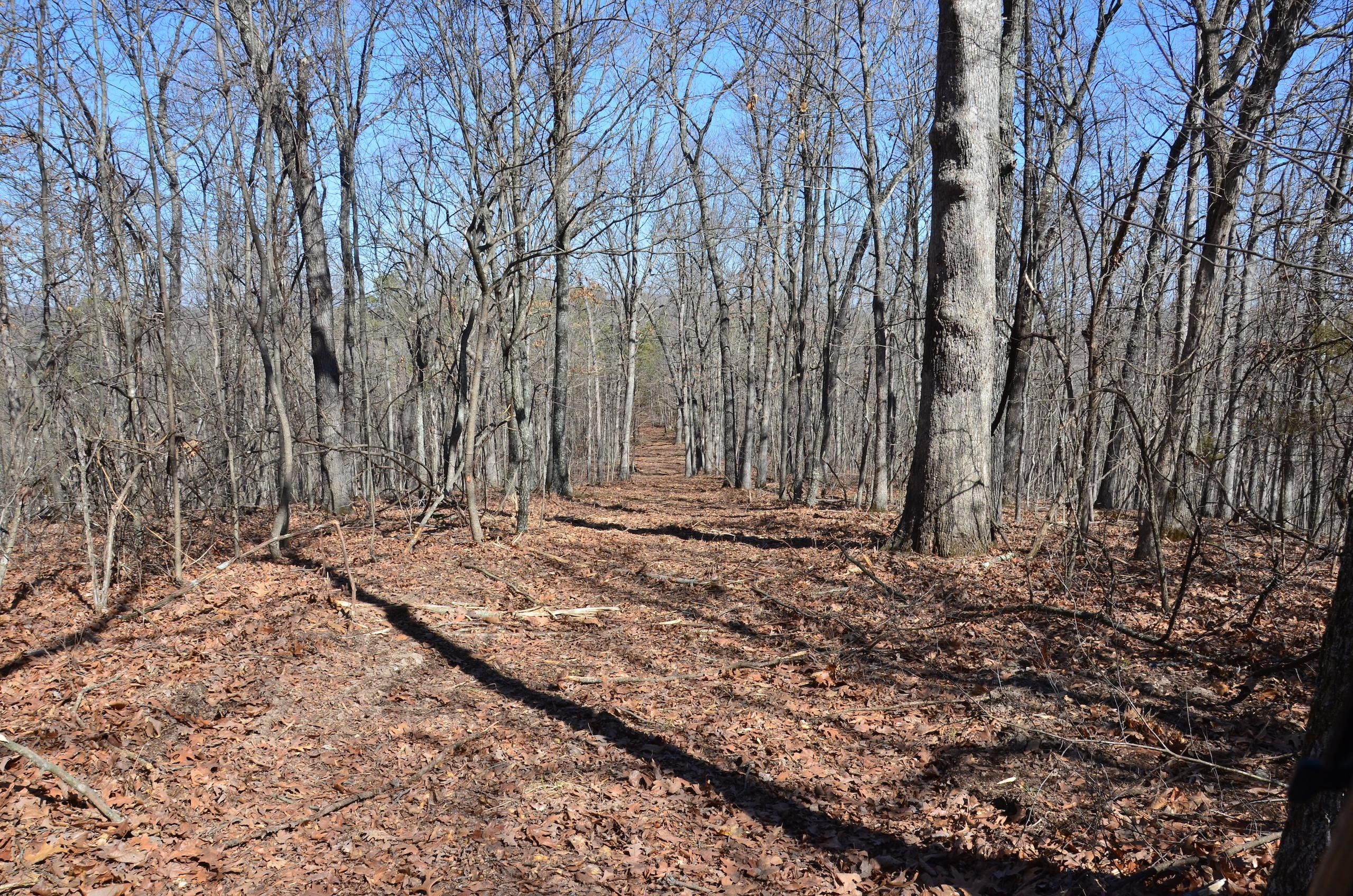 Richwoods, Washington County, MO Recreational Property, Timberland