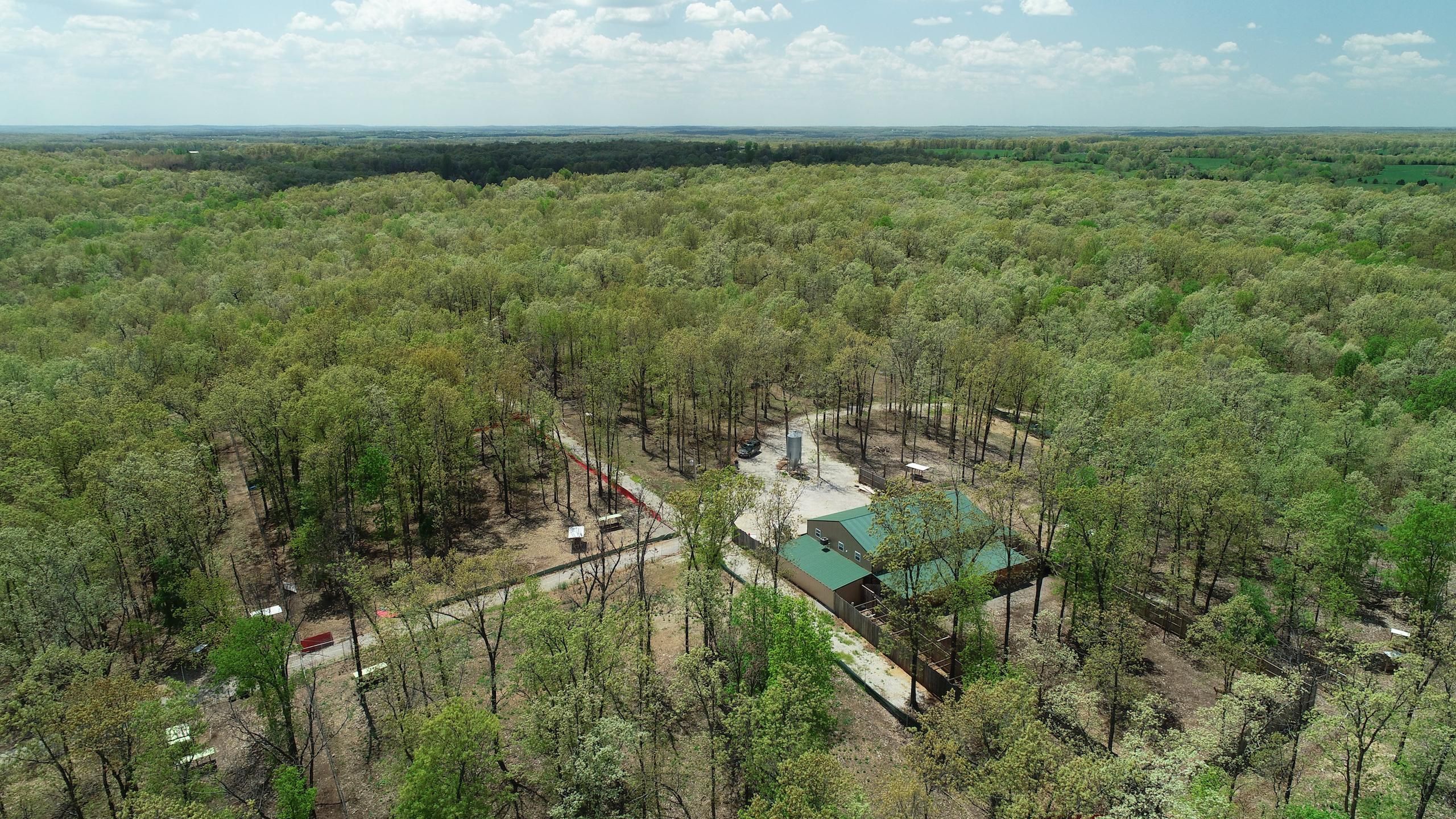 589 Handley Road, Conway, MO 65632 LandWatch