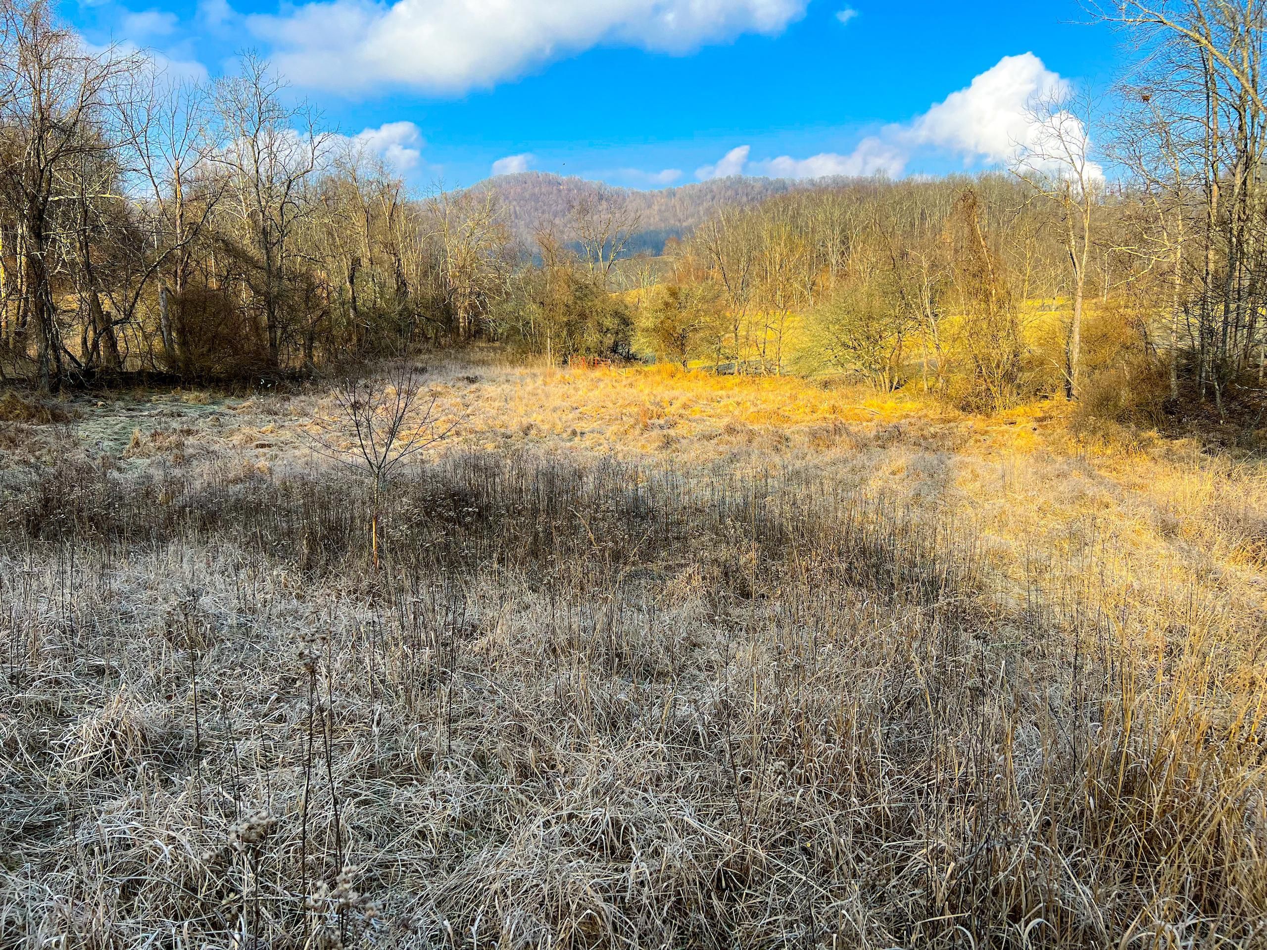 Heaters, Braxton County, WV Recreational Property, Timberland Property