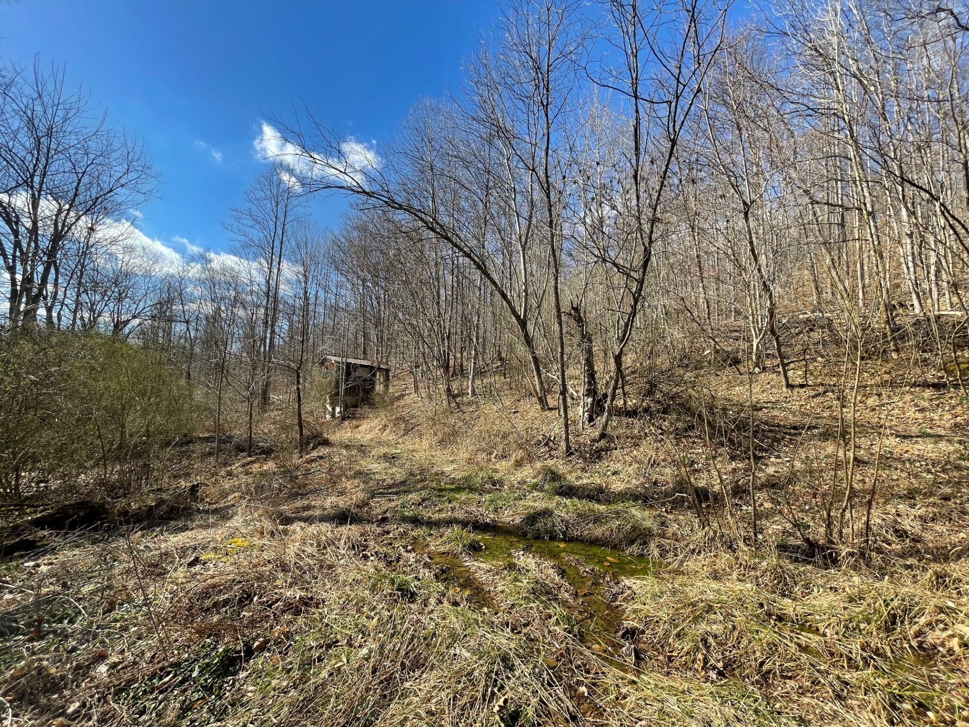Sutton, Braxton County, WV Undeveloped Land for sale Property ID