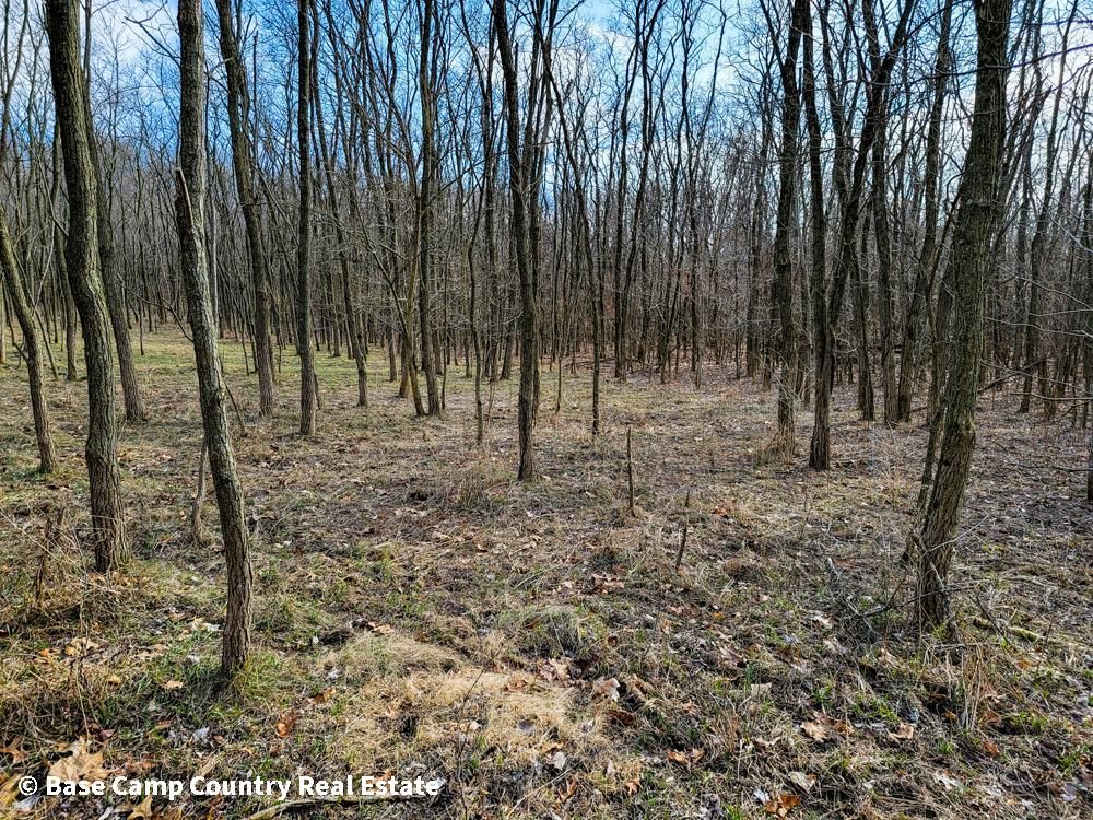 Arenzville, Cass County, IL Farms and Ranches, Recreational Property