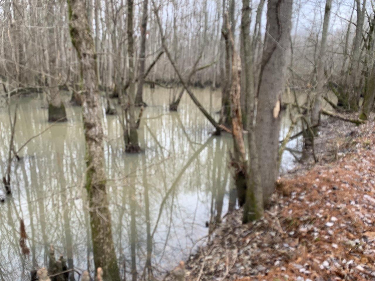 Olyphant, Independence County, AR Recreational Property, Undeveloped