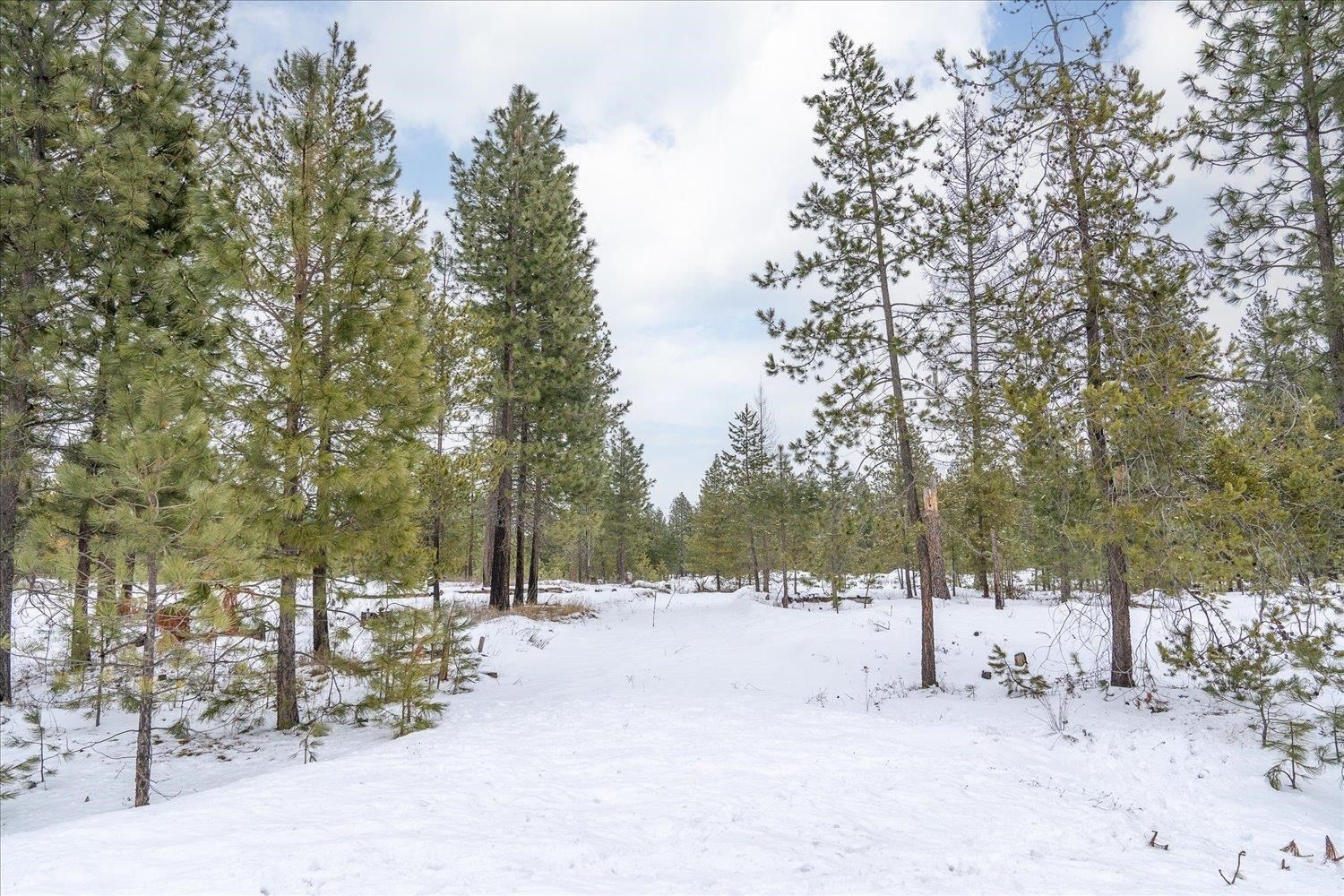 Deer Park, Spokane County, WA Farms and Ranches for sale Property ID