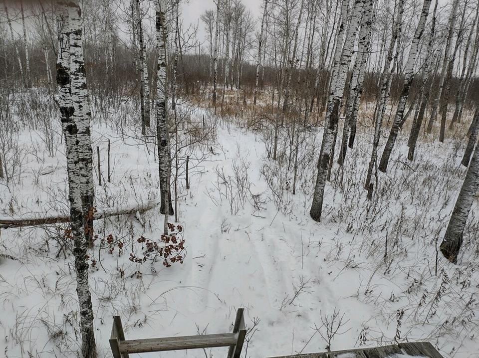 Lake Bronson, Kittson County, MN Farms and Ranches for sale Property ID