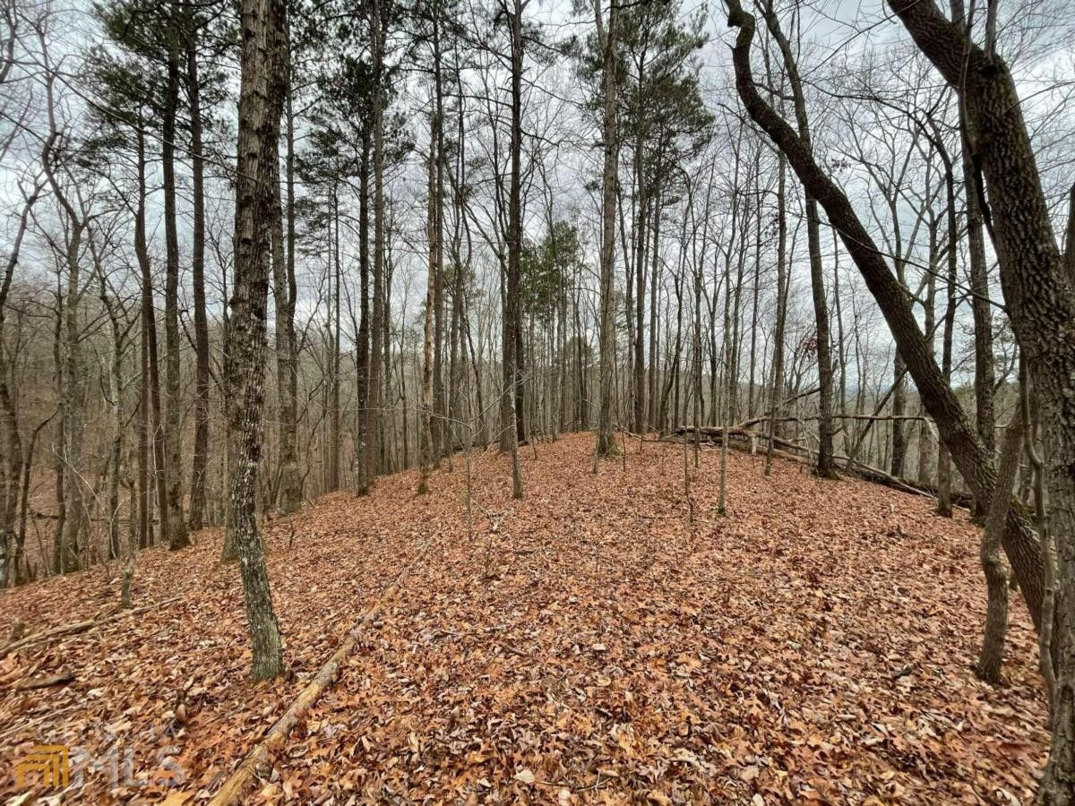 Rockmart, Paulding County, GA Undeveloped Land for sale Property ID 415925278 LandWatch
