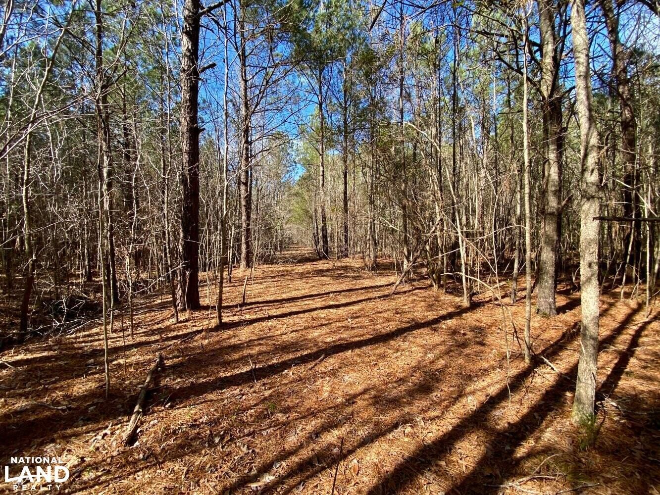 Plymouth, Washington County, NC Recreational Property, Timberland