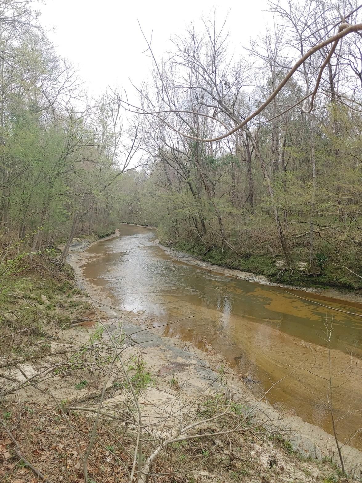Sardis, Lowndes County, AL Recreational Property, Timberland Property
