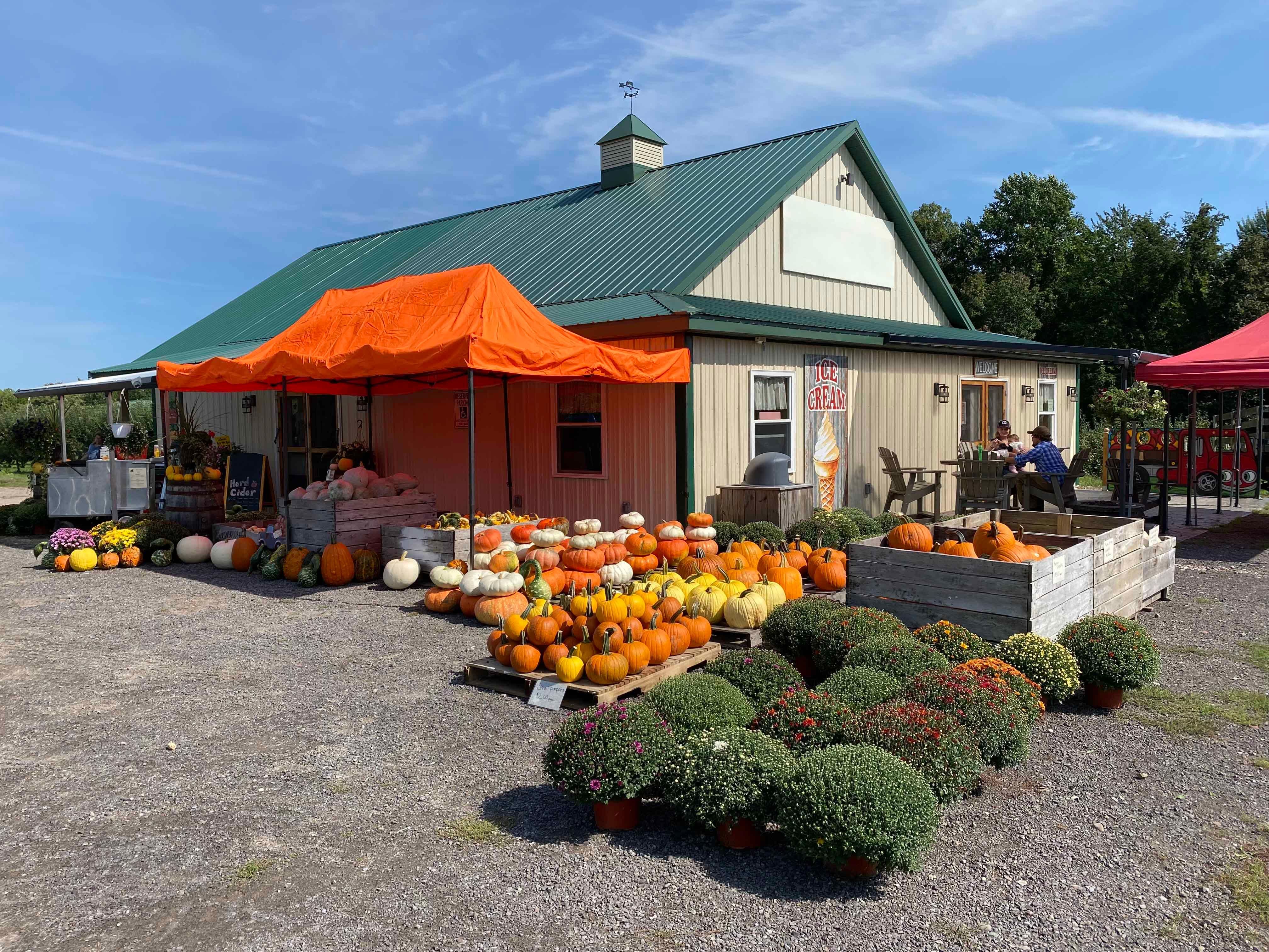 North Rose, Wayne County, NY Farms and Ranches, Undeveloped Land, Commercial Property for sale