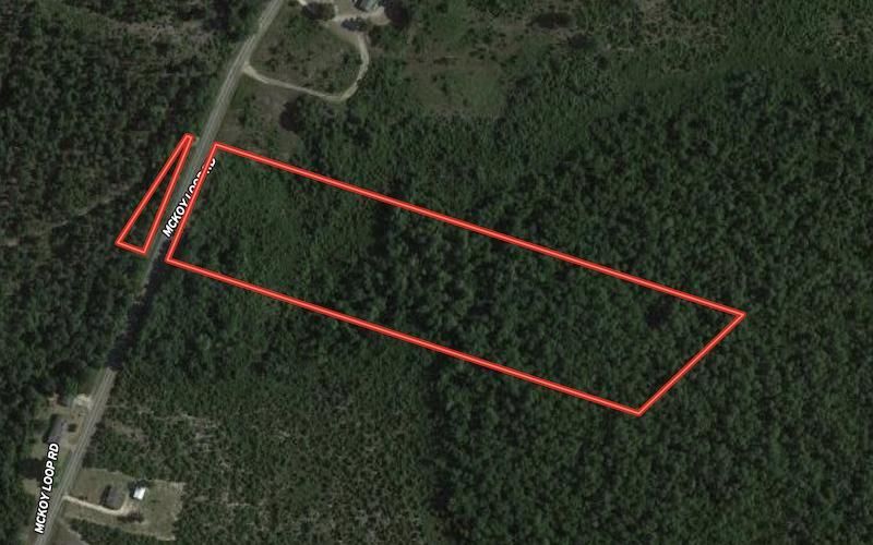 Ivanhoe, Sampson County, NC Recreational Property, Timberland Property