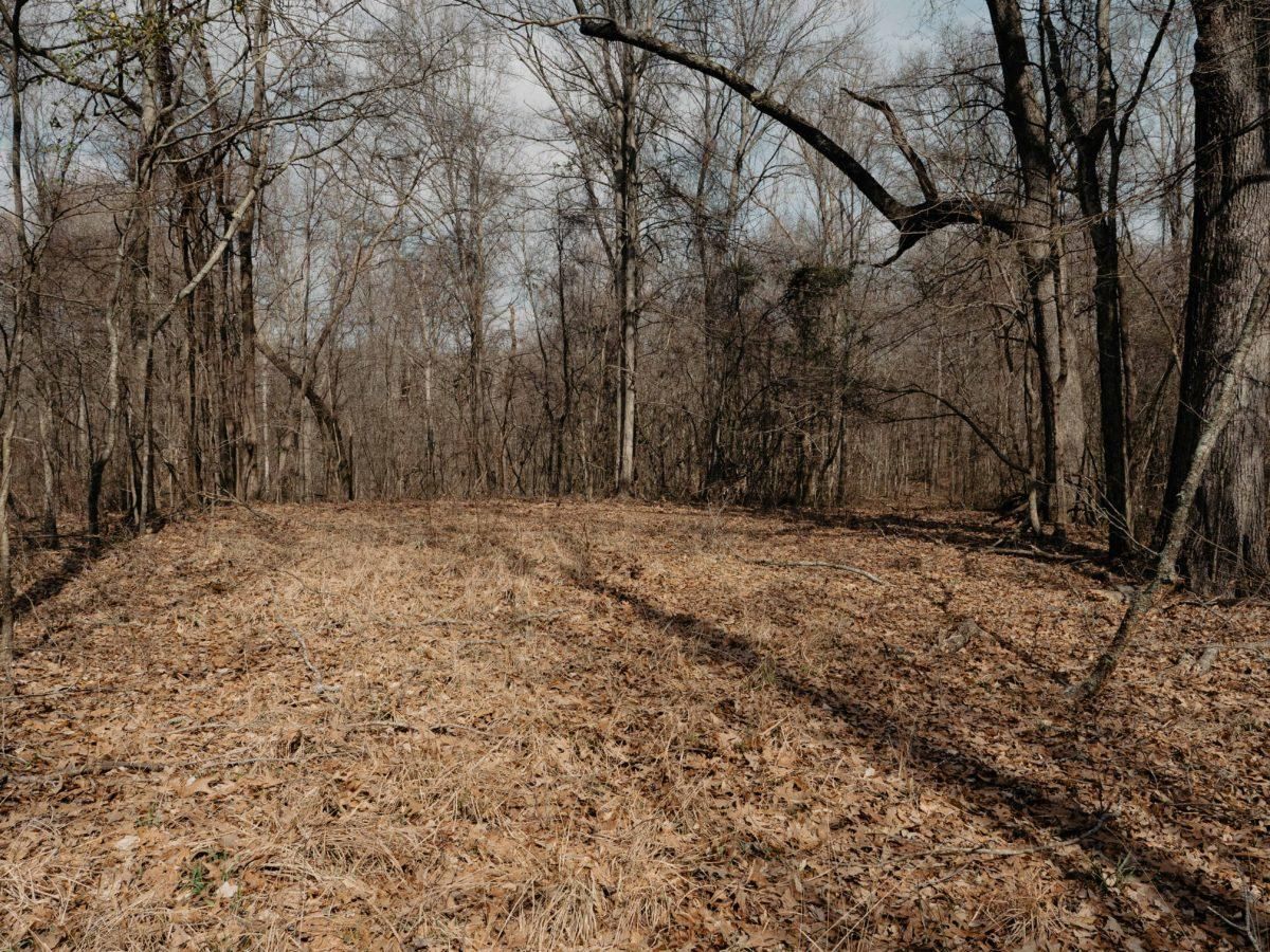 Yazoo City, Yazoo County, MS Recreational Property, Timberland Property