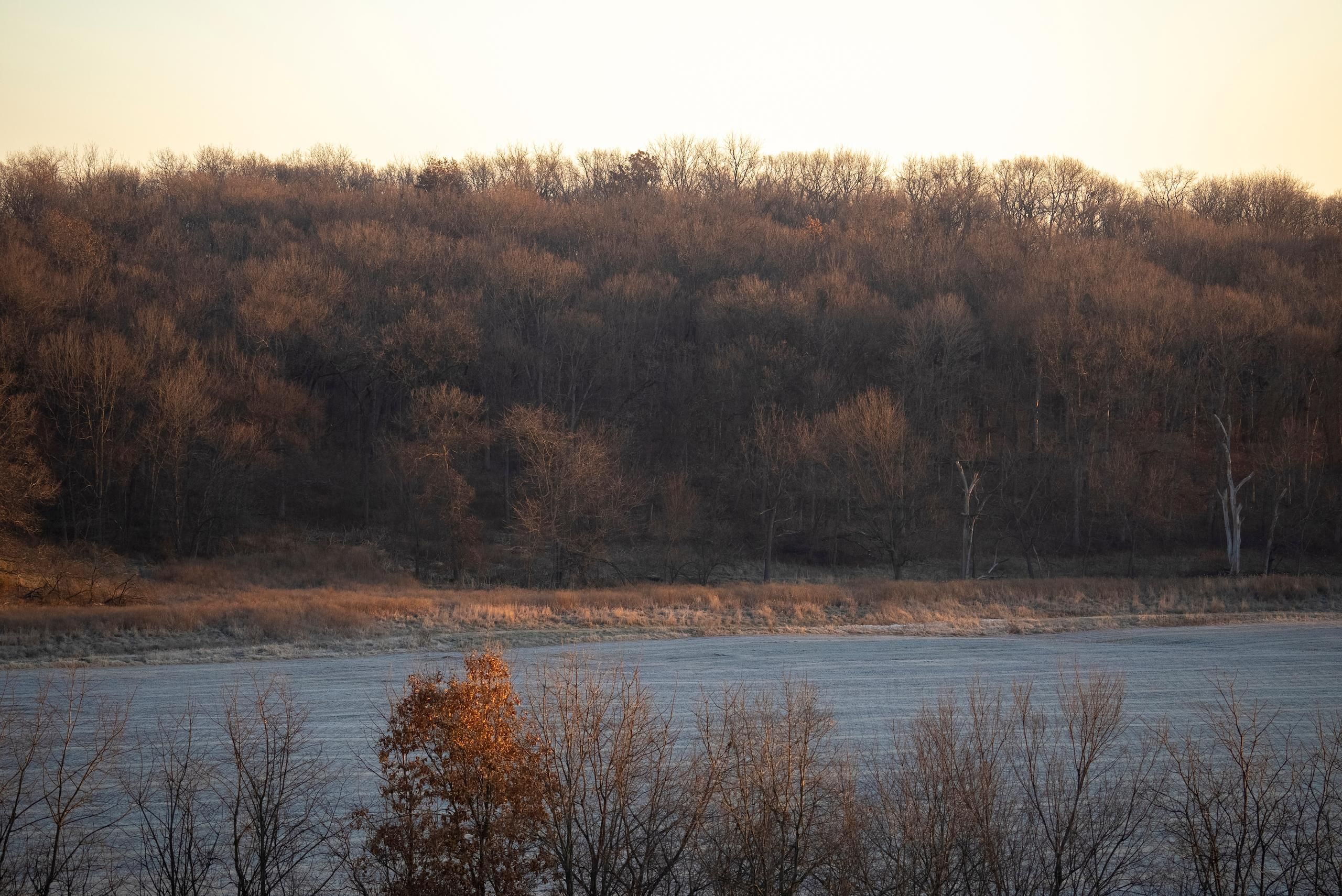 Ferndale Rd, Vermont, IL 61484 LandWatch