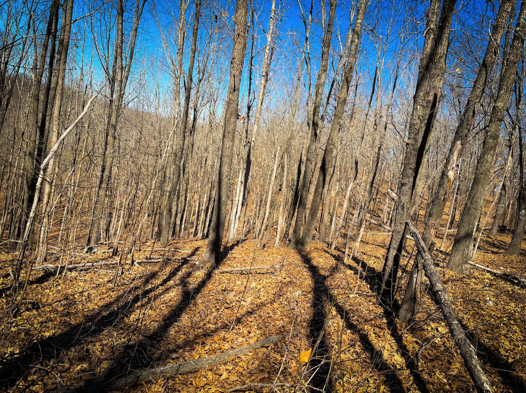 Edwards, Benton County, MO Recreational Property, Homesites for sale