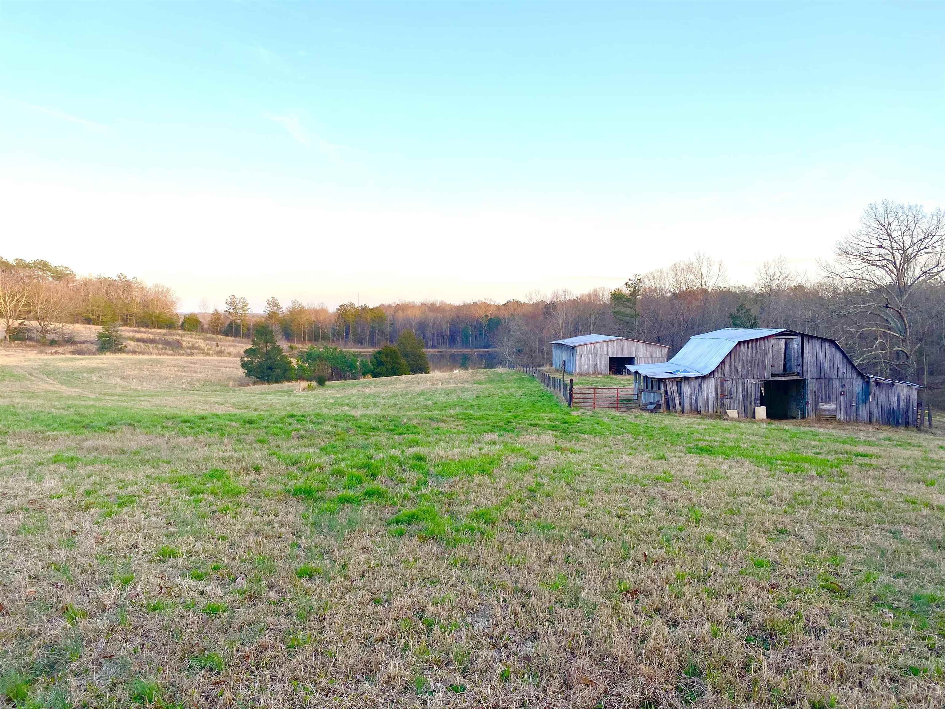 Middleton, Hardeman County, TN House for sale Property ID 415939519