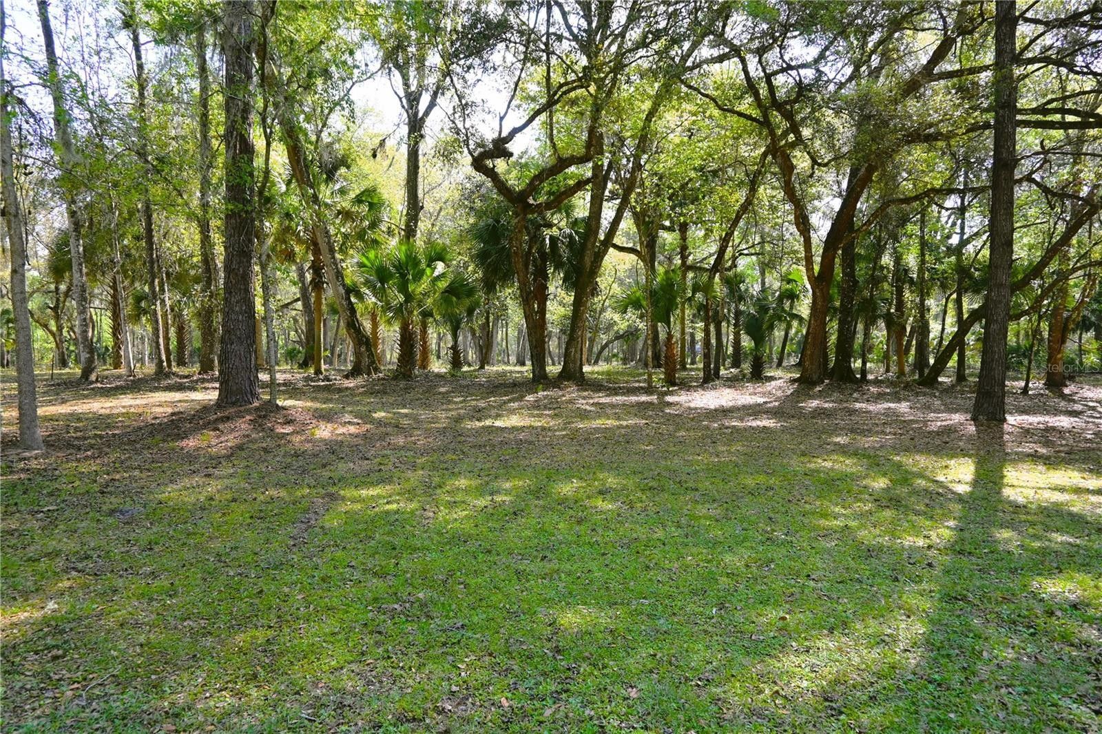 Lake Panasoffkee, Sumter County, FL Undeveloped Land, Lakefront Property, Waterfront Property