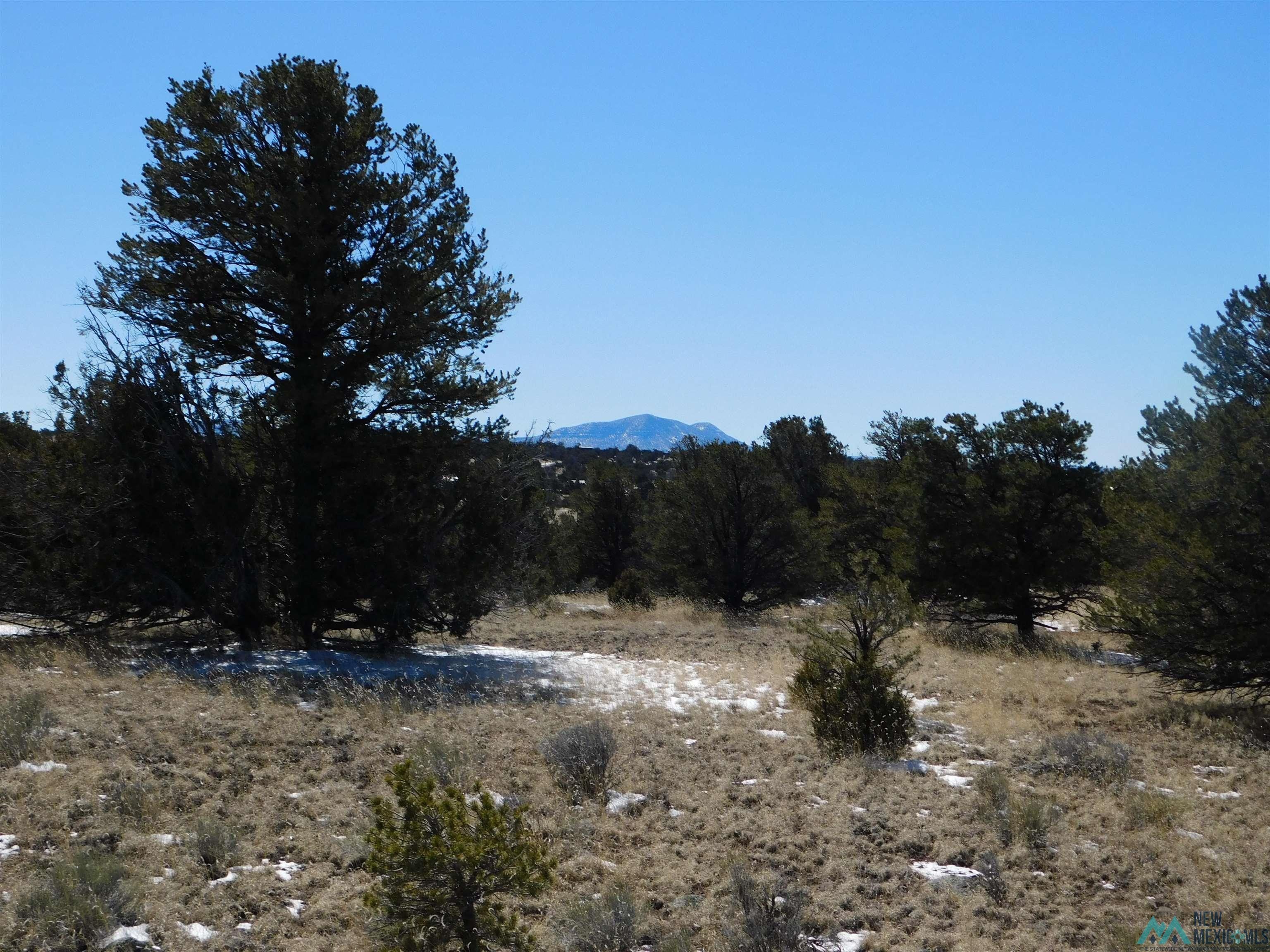 Quemado, Catron County, NM for sale Property ID 415844437 LandWatch