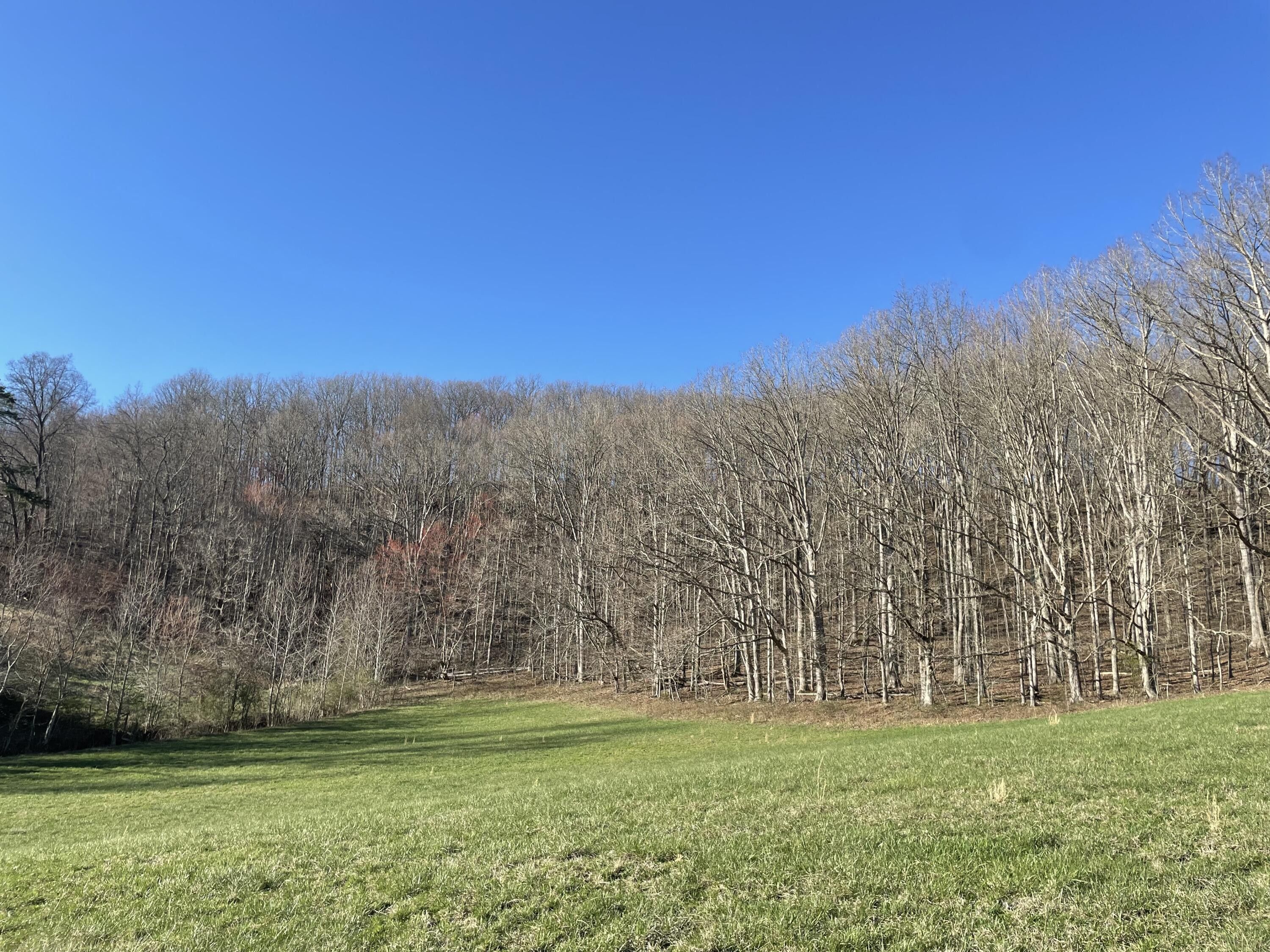 London, Laurel County, KY Farms and Ranches for sale Property ID