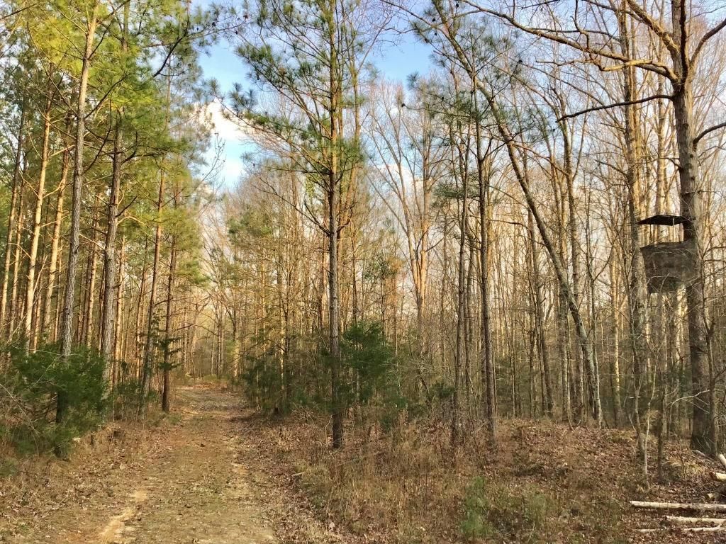 Ebb Mack Road, Saluda, SC 29138 MLS B390SCSaludaHollywood LandWatch