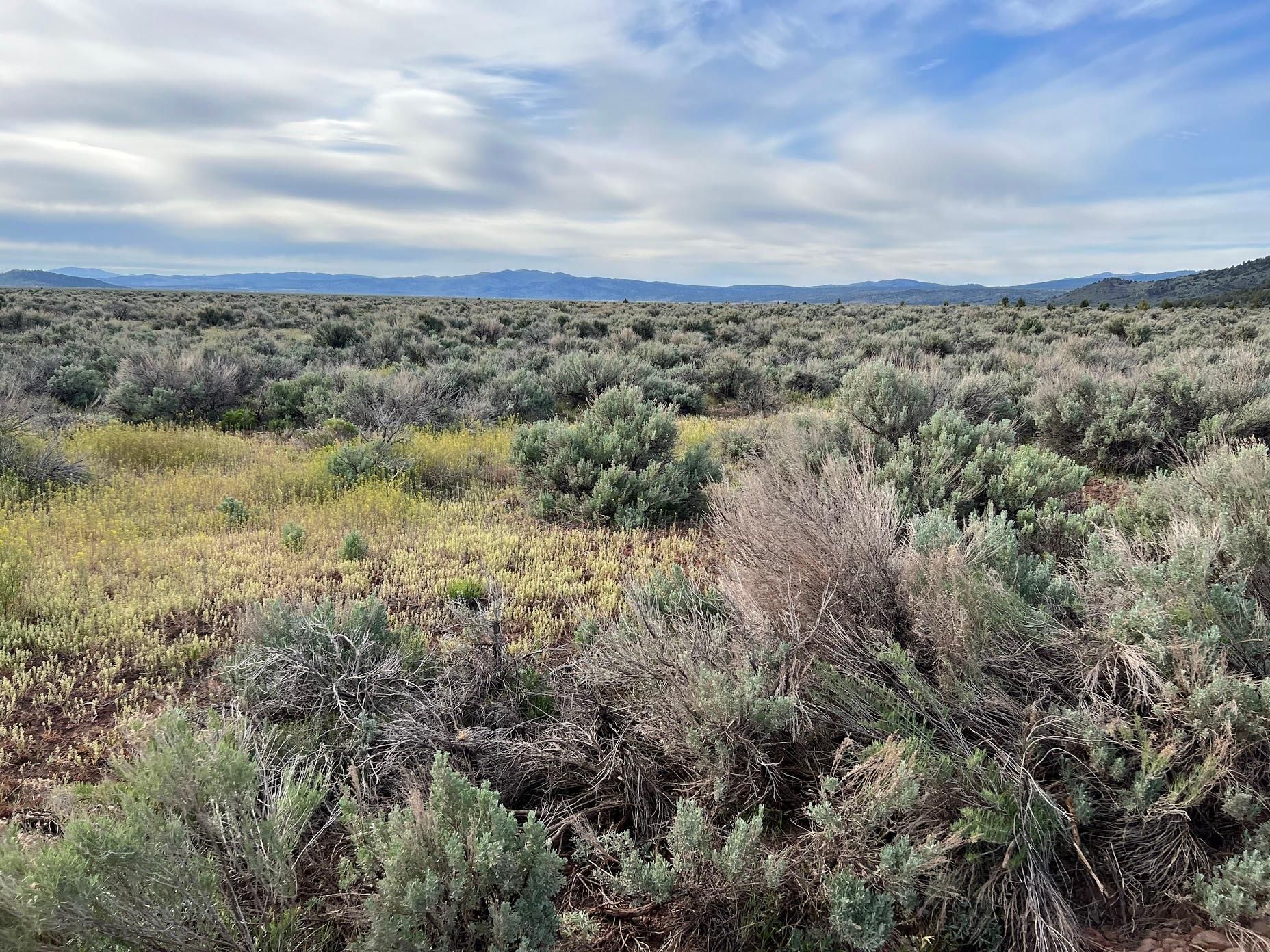 Termo, Lassen County, CA Recreational Property for sale Property ID