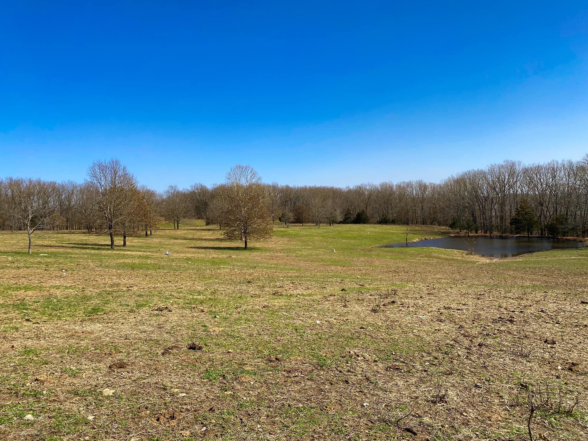 193.72 acres in Evening Shade, AR, 72532 LandWatch