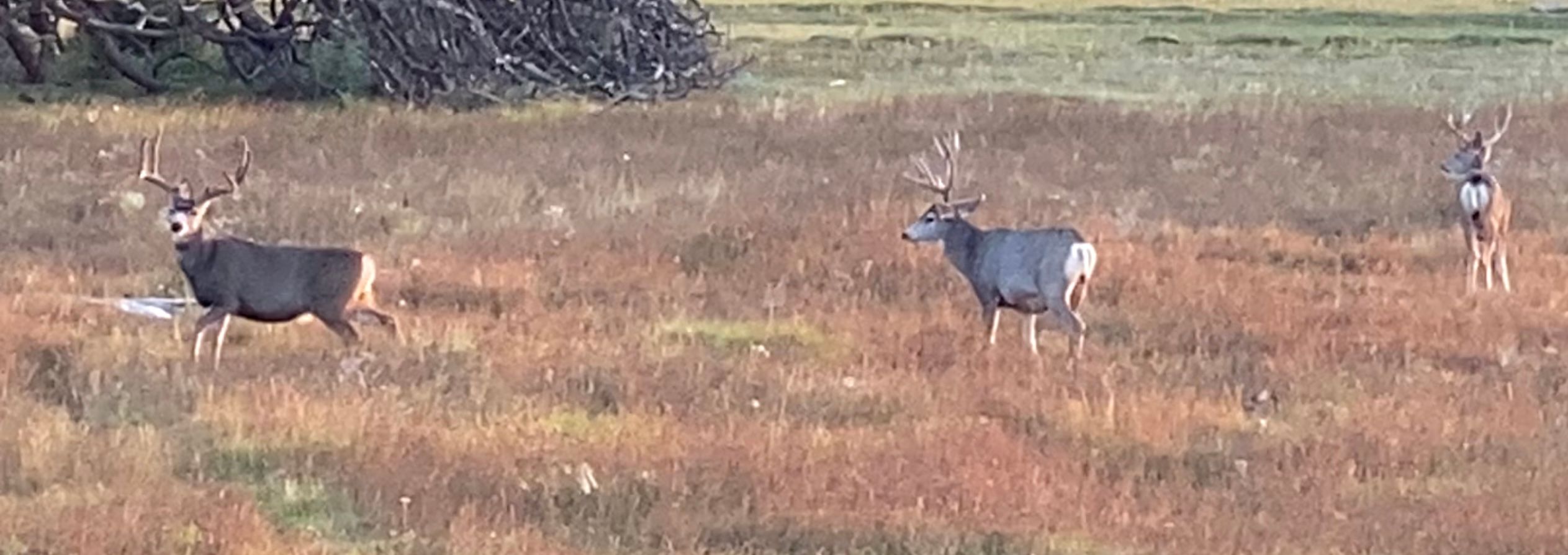 Childress, Childress County, TX Farms and Ranches, Recreational