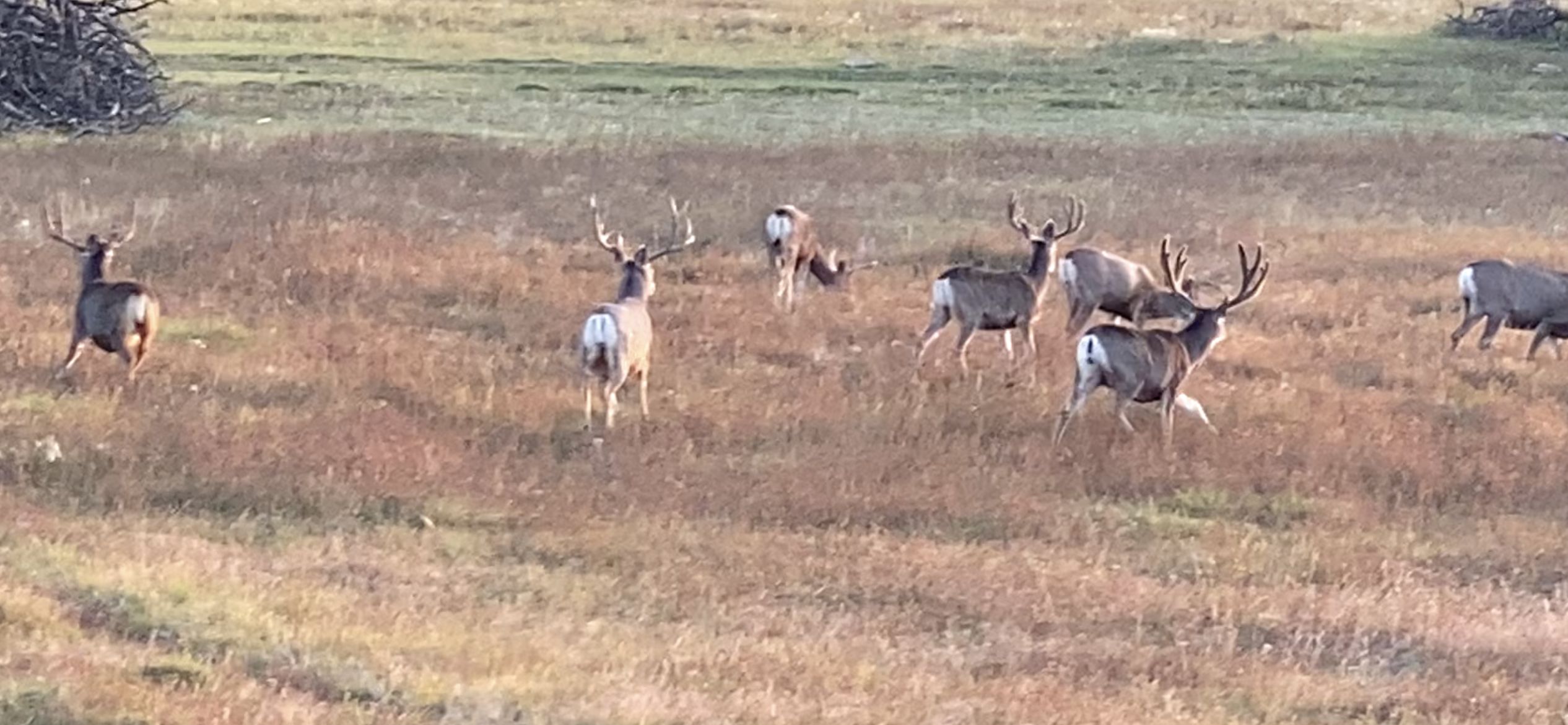 Childress, Childress County, TX Farms and Ranches, Recreational