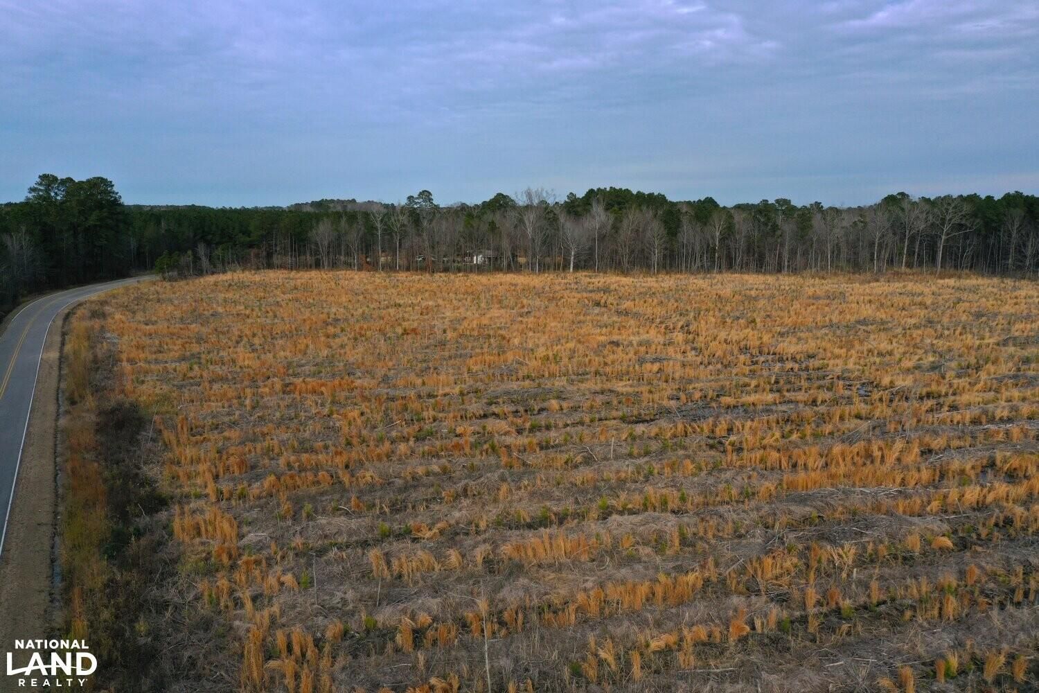 Windsor, Bertie County, NC Timberland Property for sale Property ID