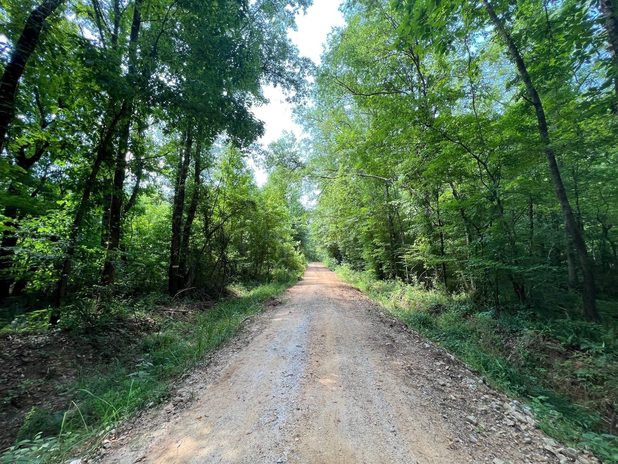 Sparta, Hancock County, GA Recreational Property, Hunting Property for