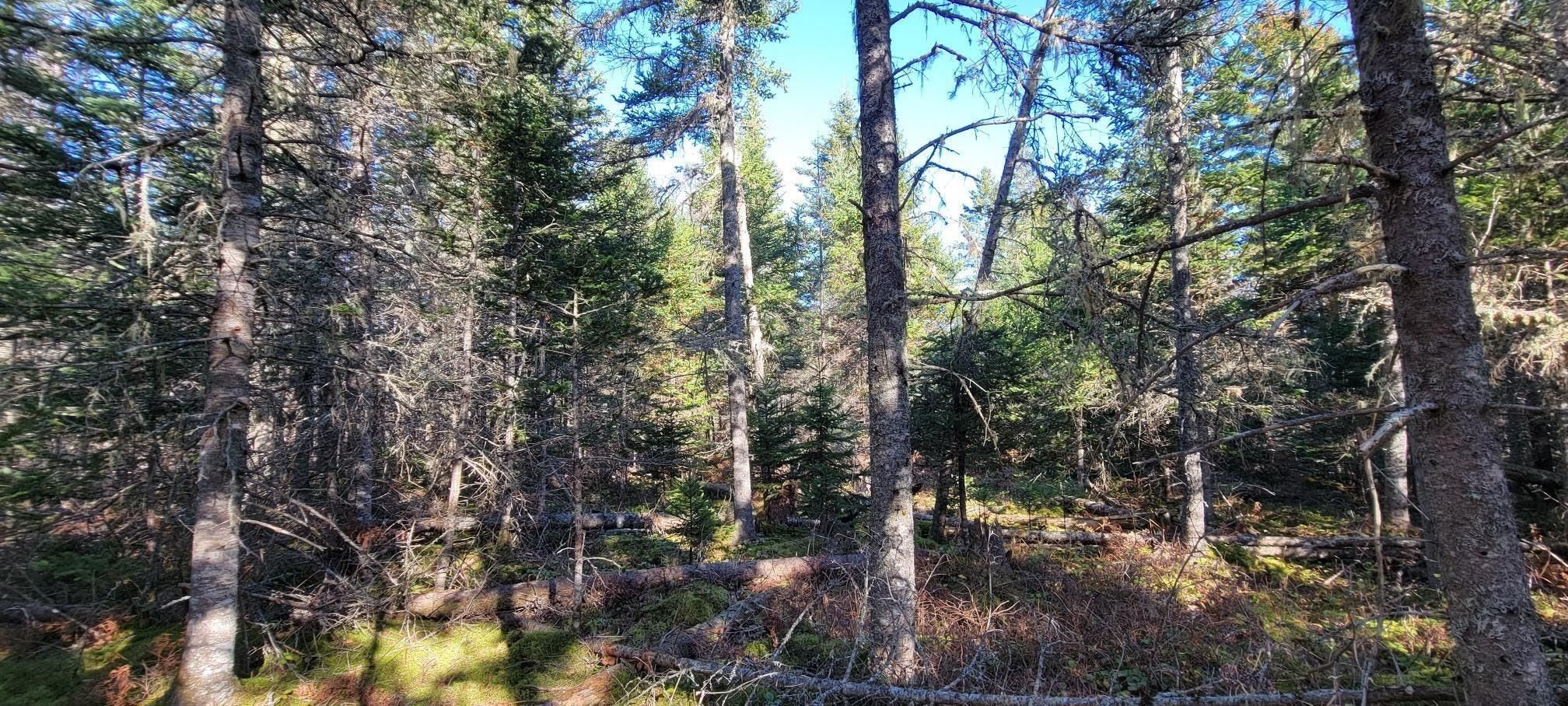 Sedgwick, Hancock County, ME Commercial Property for sale Property ID