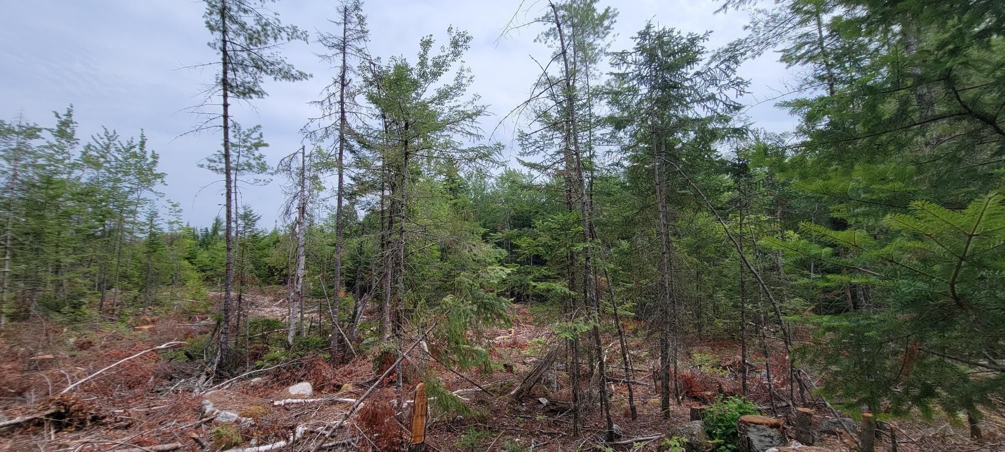 Ellsworth, Hancock County, ME Commercial Property for sale Property ID