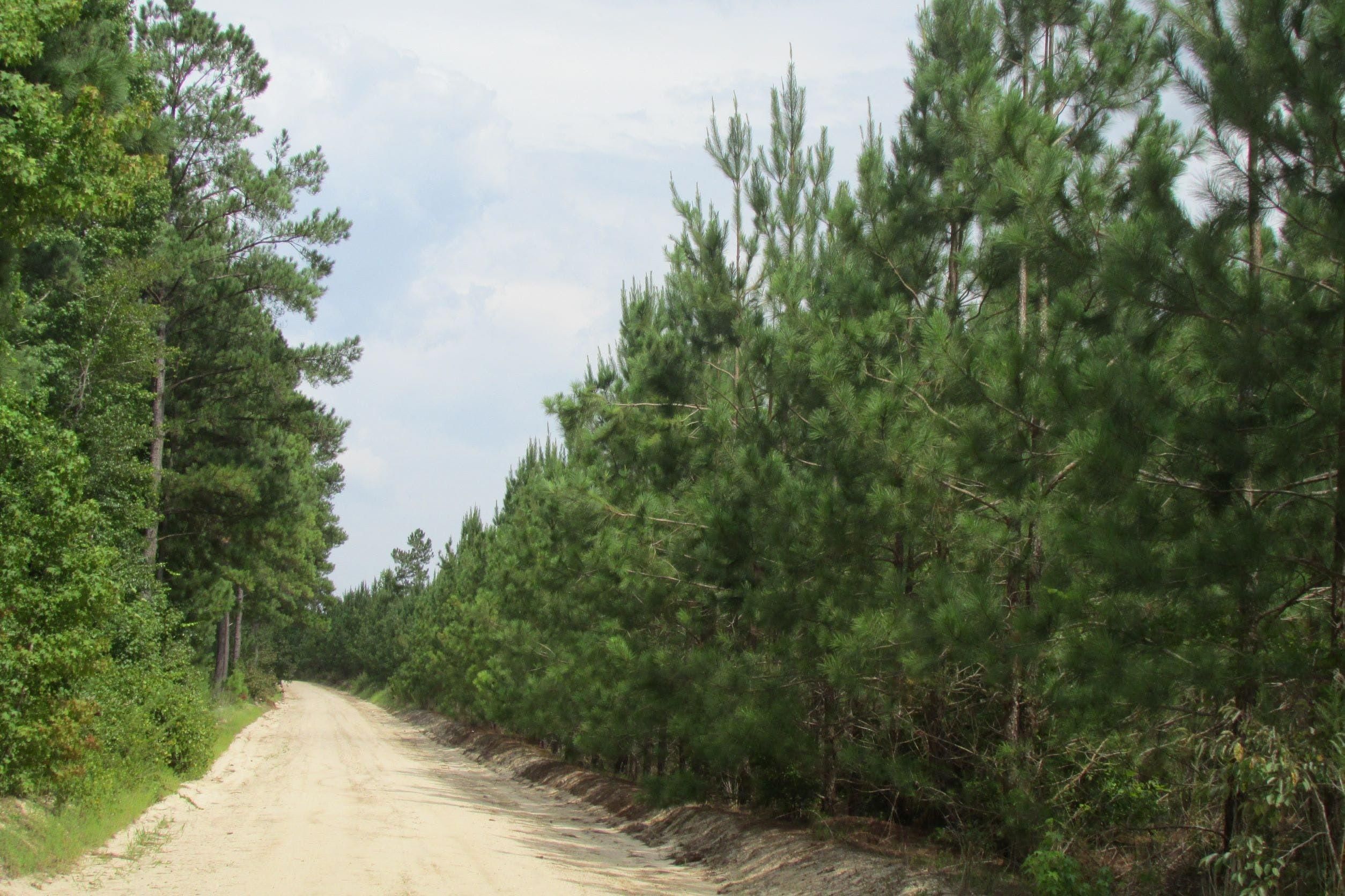 Bethune, Kershaw County, SC Commercial Property for sale Property ID