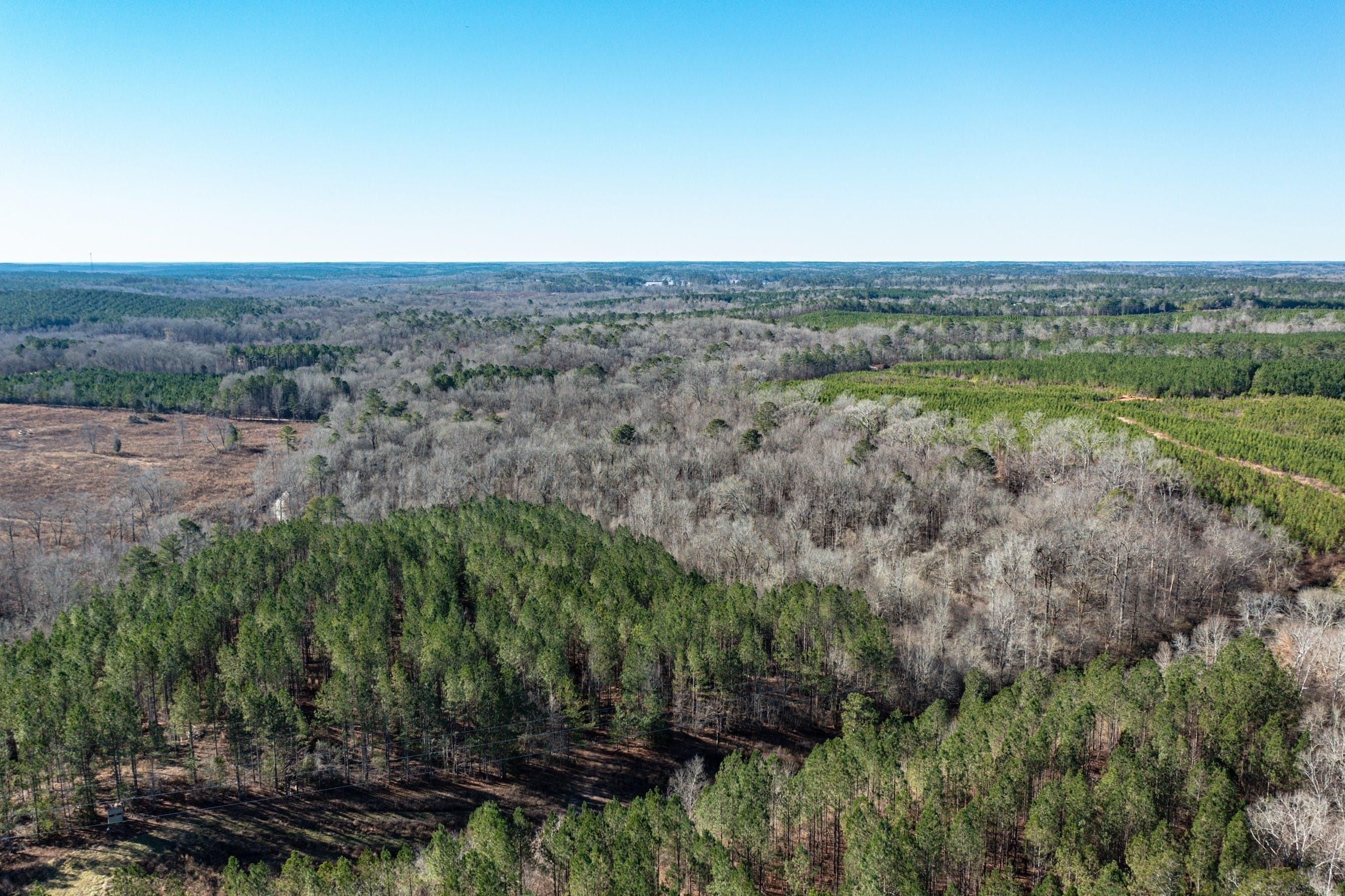 Monticello, Jasper County, GA Recreational Property, Timberland Property, Hunting Property for