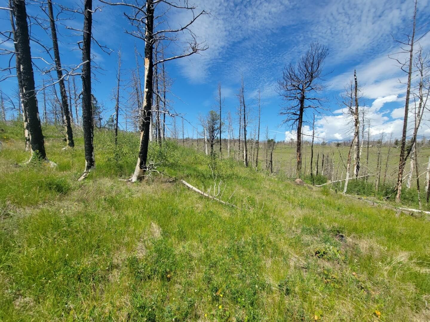 Fort Garland, Costilla County, CO Recreational Property, Hunting